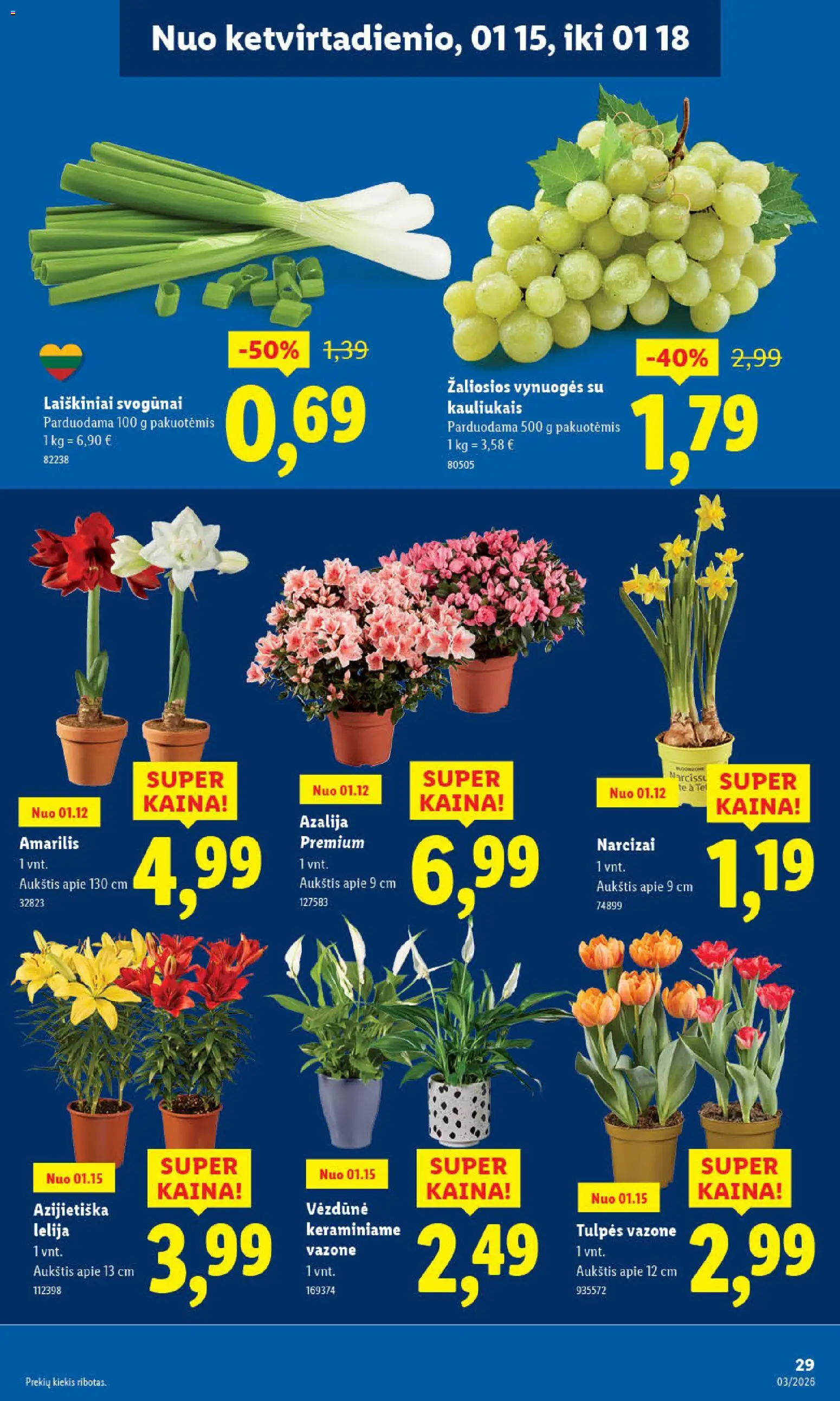 LIDL akcijos nuo 12.01.2026 | Puslapis: 31 | Prekių: Svogūnai, Vynuogės