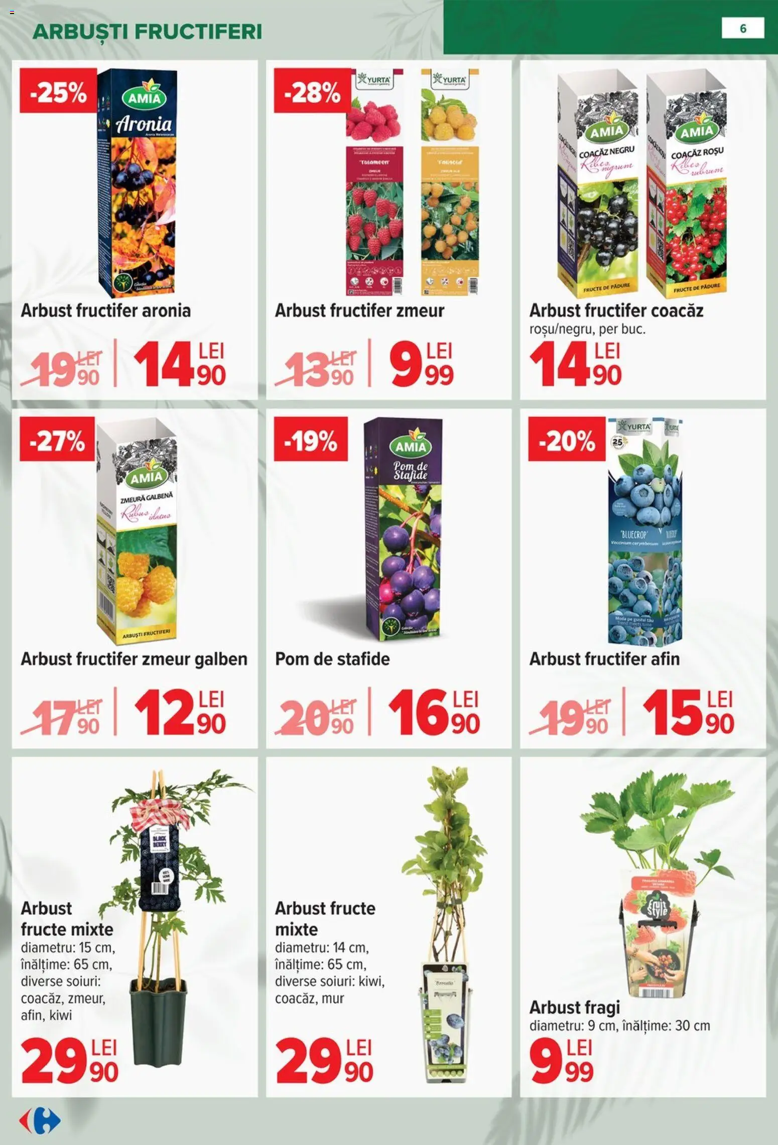 Noul catalog Carrefour – valabil de la 11.02.2026 | Pagină: 6 | Produse: Zmeură, Kiwi, Stafide, Fructe