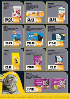 Preview of Bestway - Offers valid from 31.10.2025 | Page: 4