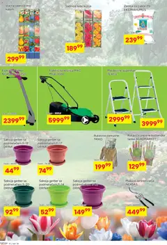 Fortuna Market katalog - pregled Fortuna Market kataloga - važi od 11.03.2026 | Strana: 10