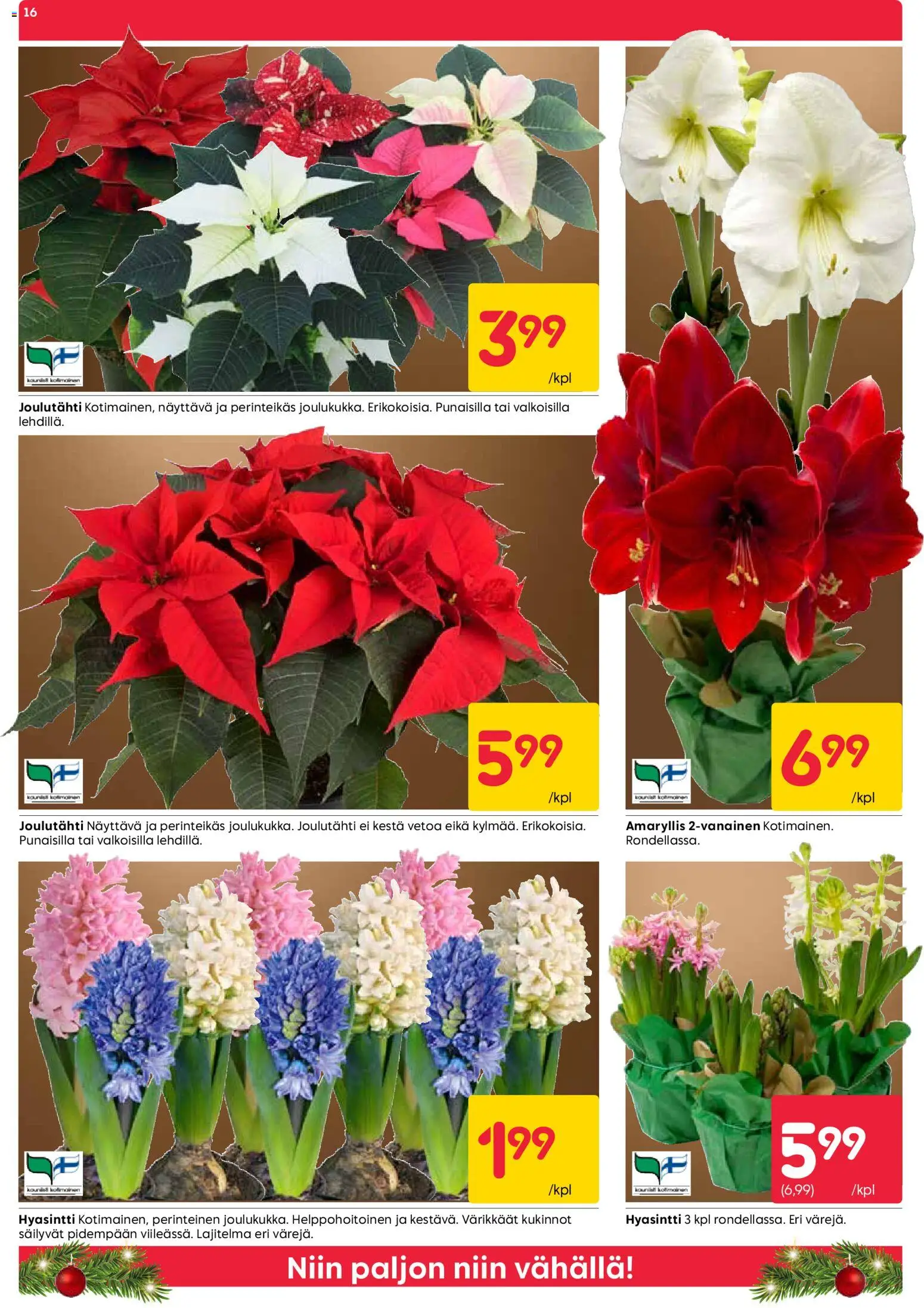 Rusta tarjoukset – voimassa 15.12.2025 alkaen | Sivu: 16