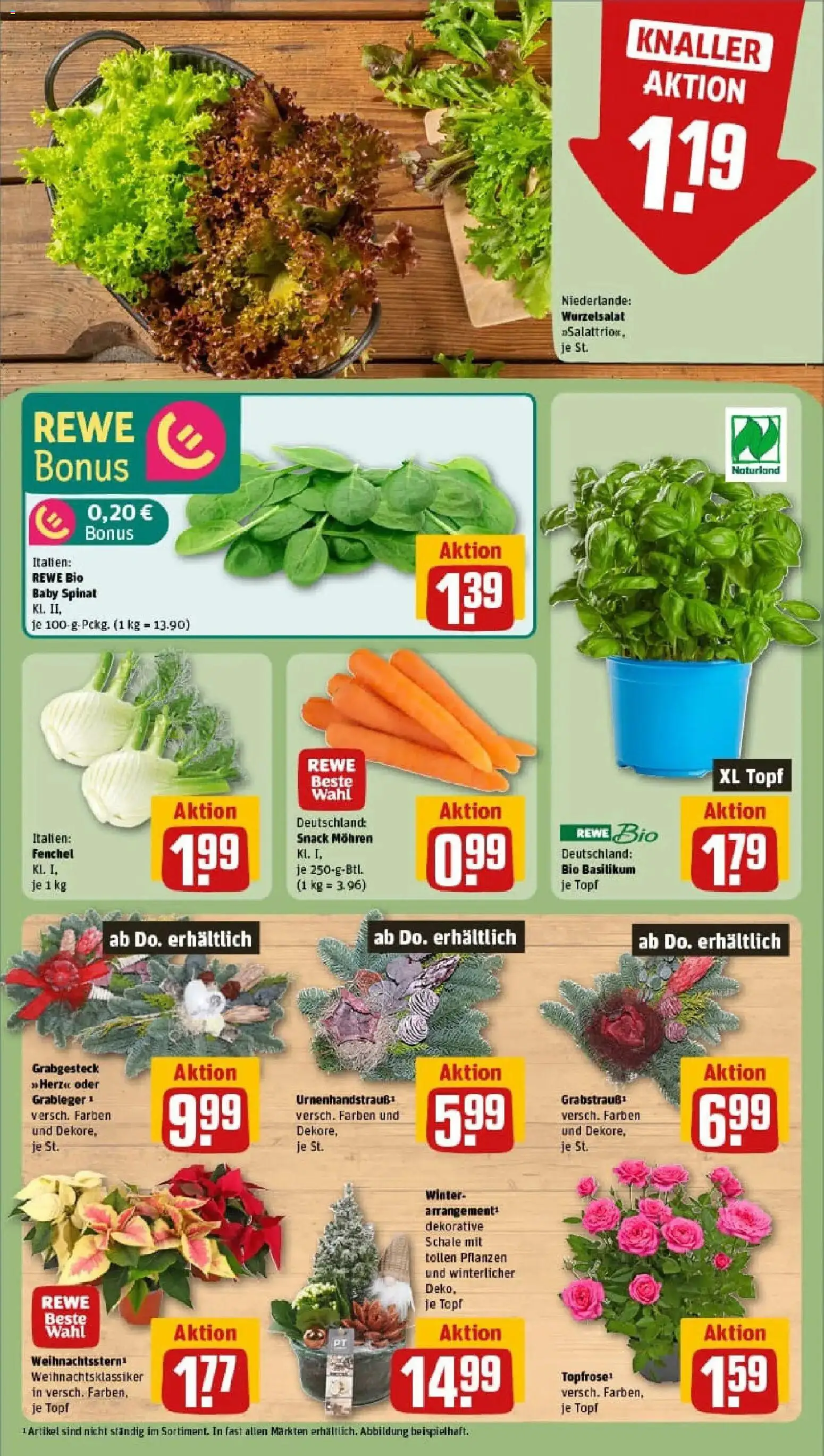 Rewe prospekt Halle (Saale)	 – gültig ab 10.11.2025 | Seite: 7 | Produkte: Mohren