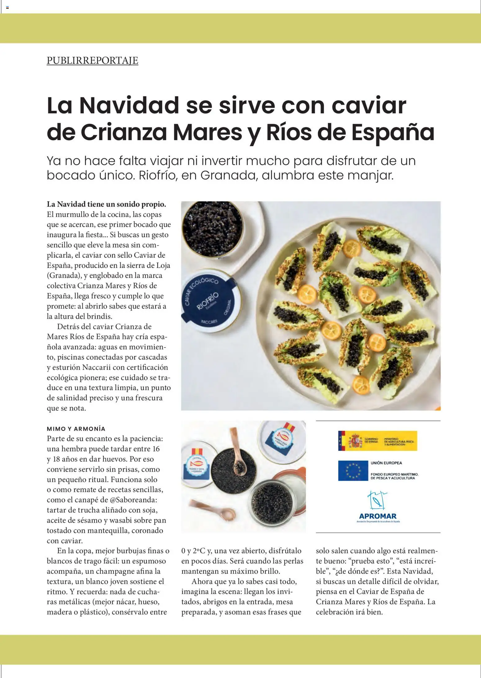 El Corte Inglés ofertas │ válido desde el 11.12.2025 | Página: 13 | Productos: Aceite, Pan, Té, Mesa