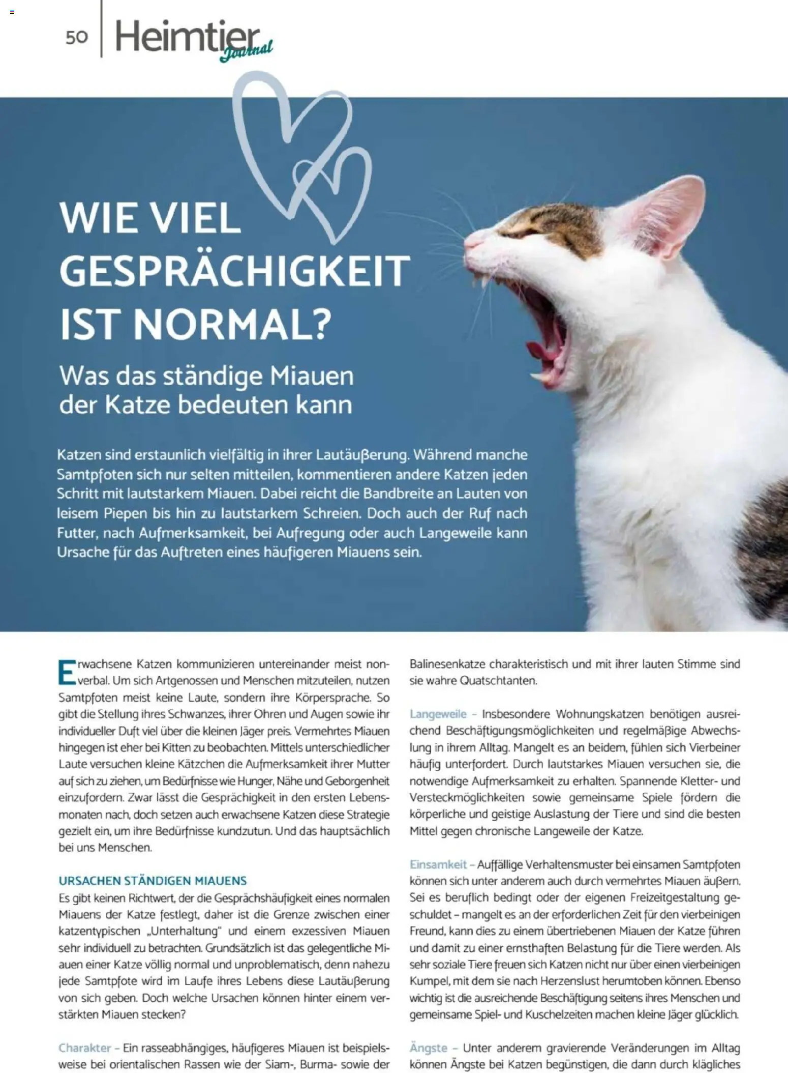 zookauf - Heimtier Journal – gültig ab 01.12.2025 | Seite: 50 | Produkte: Spiel, Duft