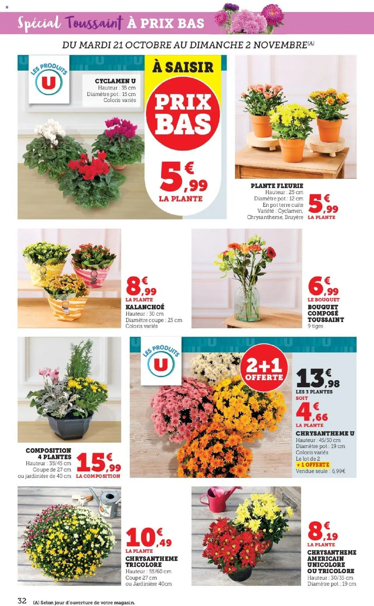 {H1} | Page: 32 | Produits: Plantes, Jardinière, Chrysanthème