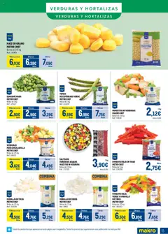 Makro - Congelados Centro │ válido desde el 04.08.2025 | Página: 15 | Productos: Ensaladilla, Κάδος απορρυμάτων, Παγωμένο τσάι, Bolsa