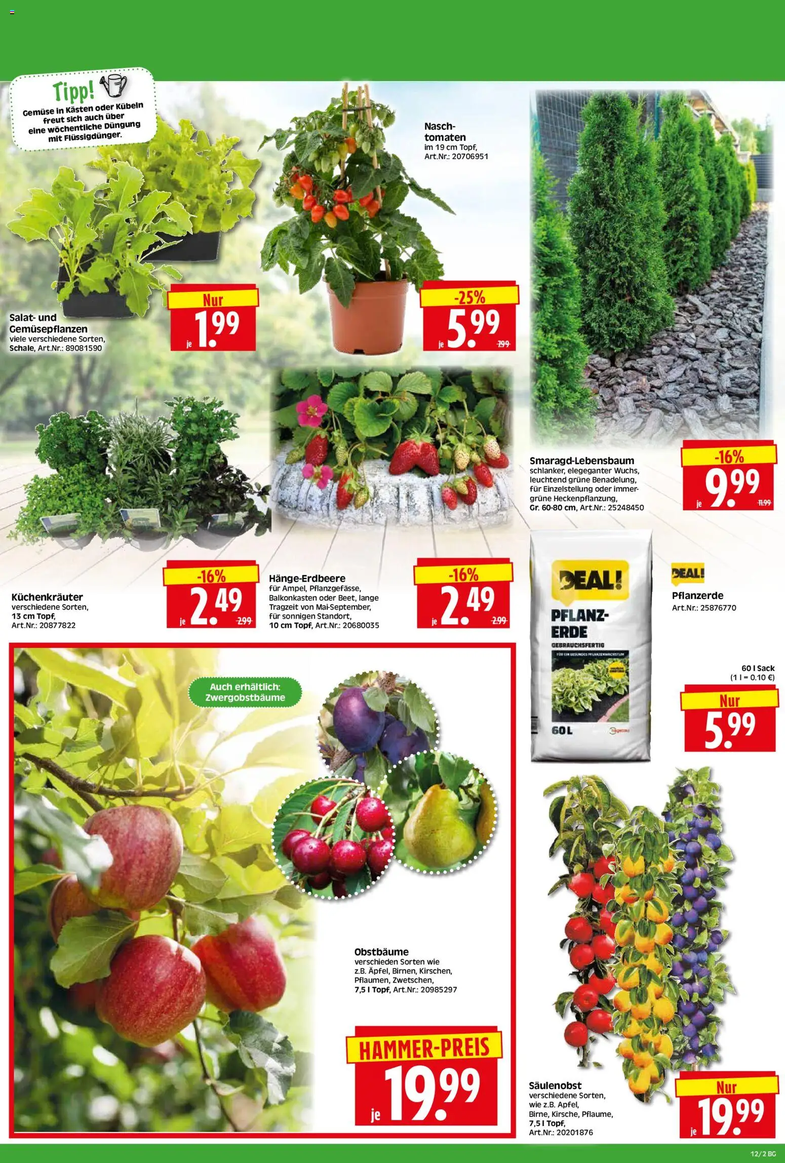HERKULES Bau & Garten – gültig ab 16.03.2026 | Seite: 2 | Produkte: Pflanzerde, Tomaten, Gemüse, Salat