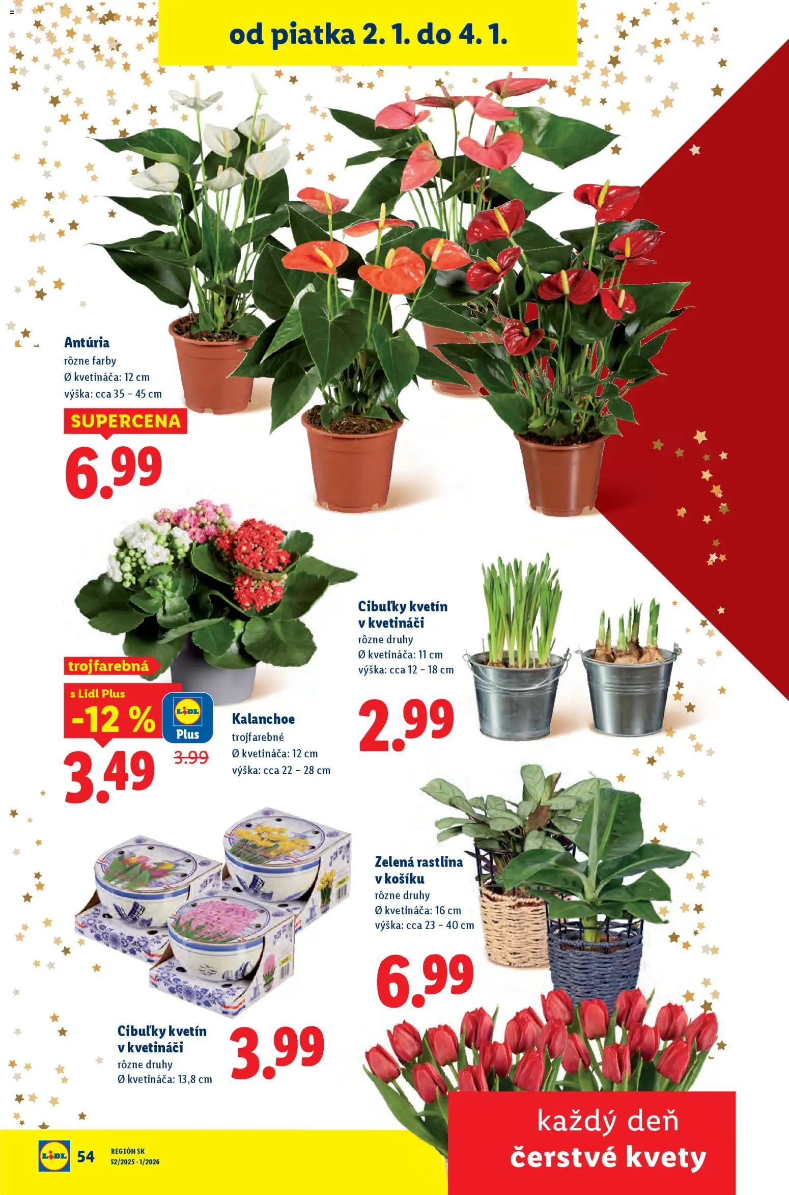 Nové Lidl akcie – leták je platný od 02.01.2026 | Strana: 20 | Produkty: Kvety
