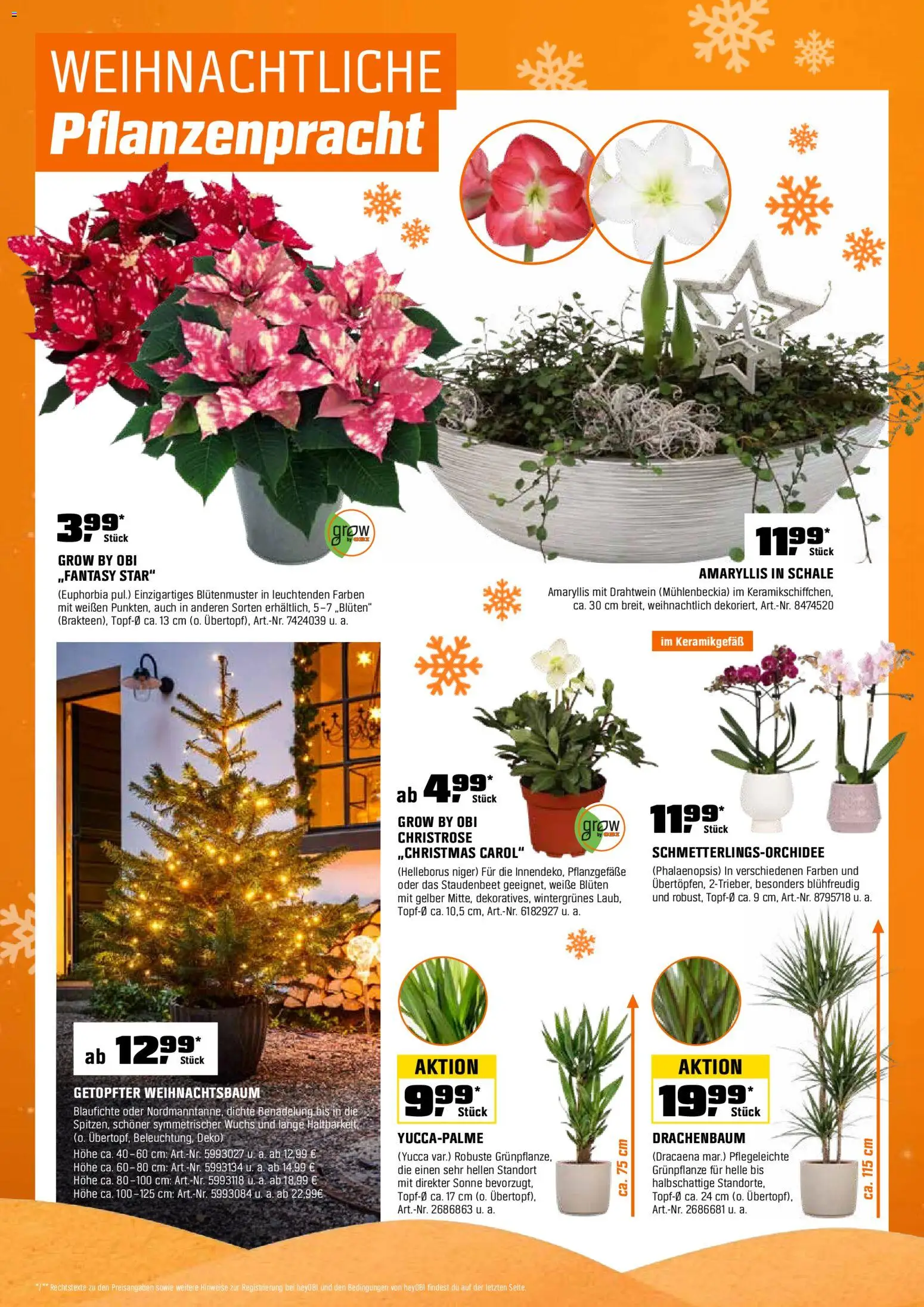 Obi Prospekt 	 – gültig ab 01.12.2025 | Seite: 8