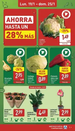 Vista previa Coliflor, Origen: España. Categoría: I. A granel válido desde el 19.01.2026 | Página: 3 | Productos: Κάδος απορρυμάτων