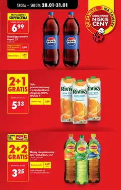 Pogląd oferty "Kwiaty zielone na pniu, średnica doniczki 15 cm" - ważna od 28.01.2026 | Strona: 17 | Produkty: Doniczki, Kalanchoe, Kwiaty