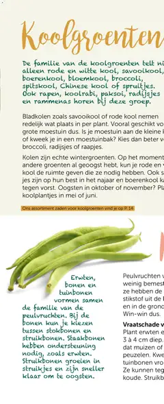 Aveve Groente- en kruidengids - Voorbeeld van een folder van Aveve, geldig van 23.02.2026 | Pagina: 8