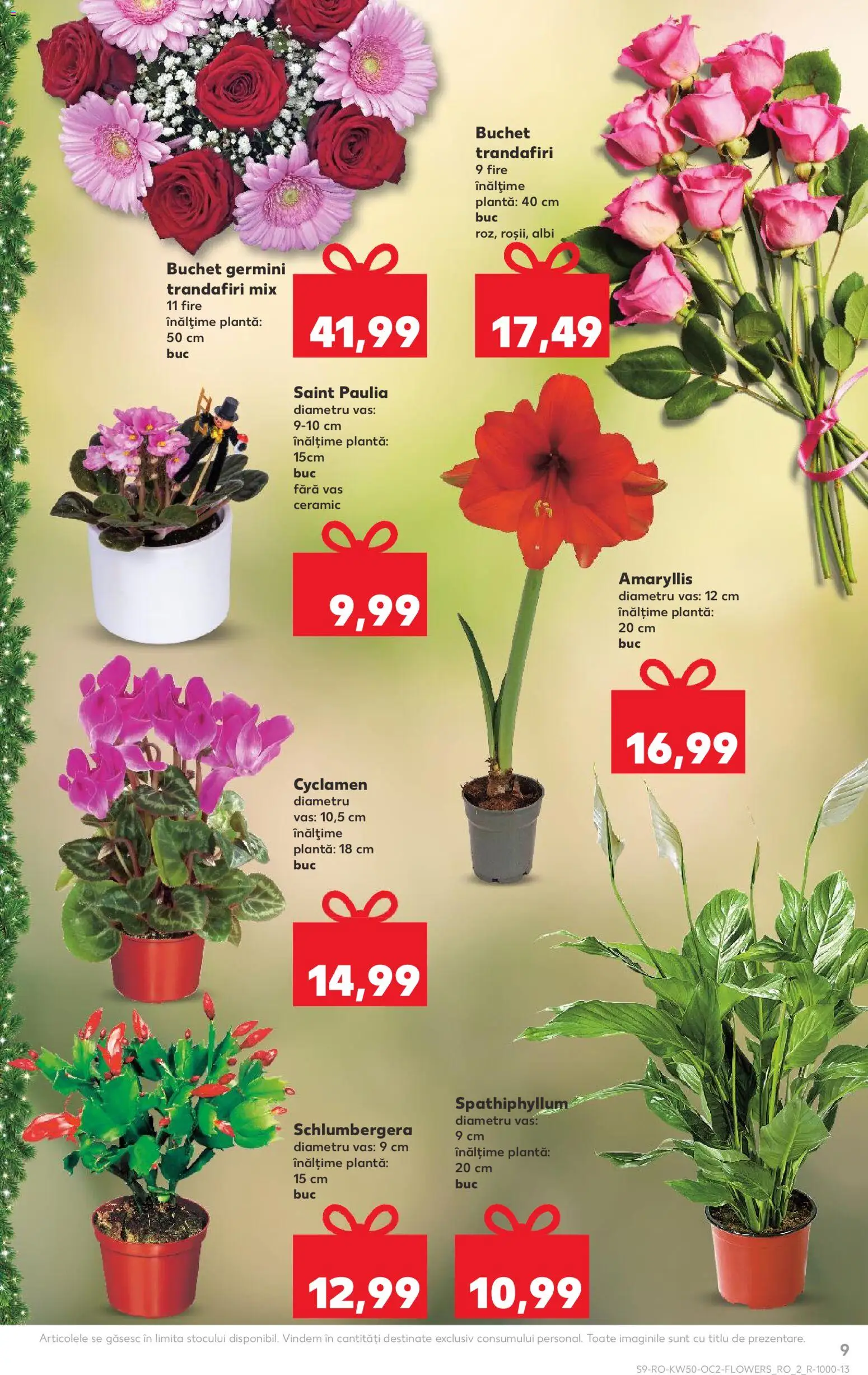 Noul catalog Kaufland – valabil de la 10.12.2025 | Pagină: 9
