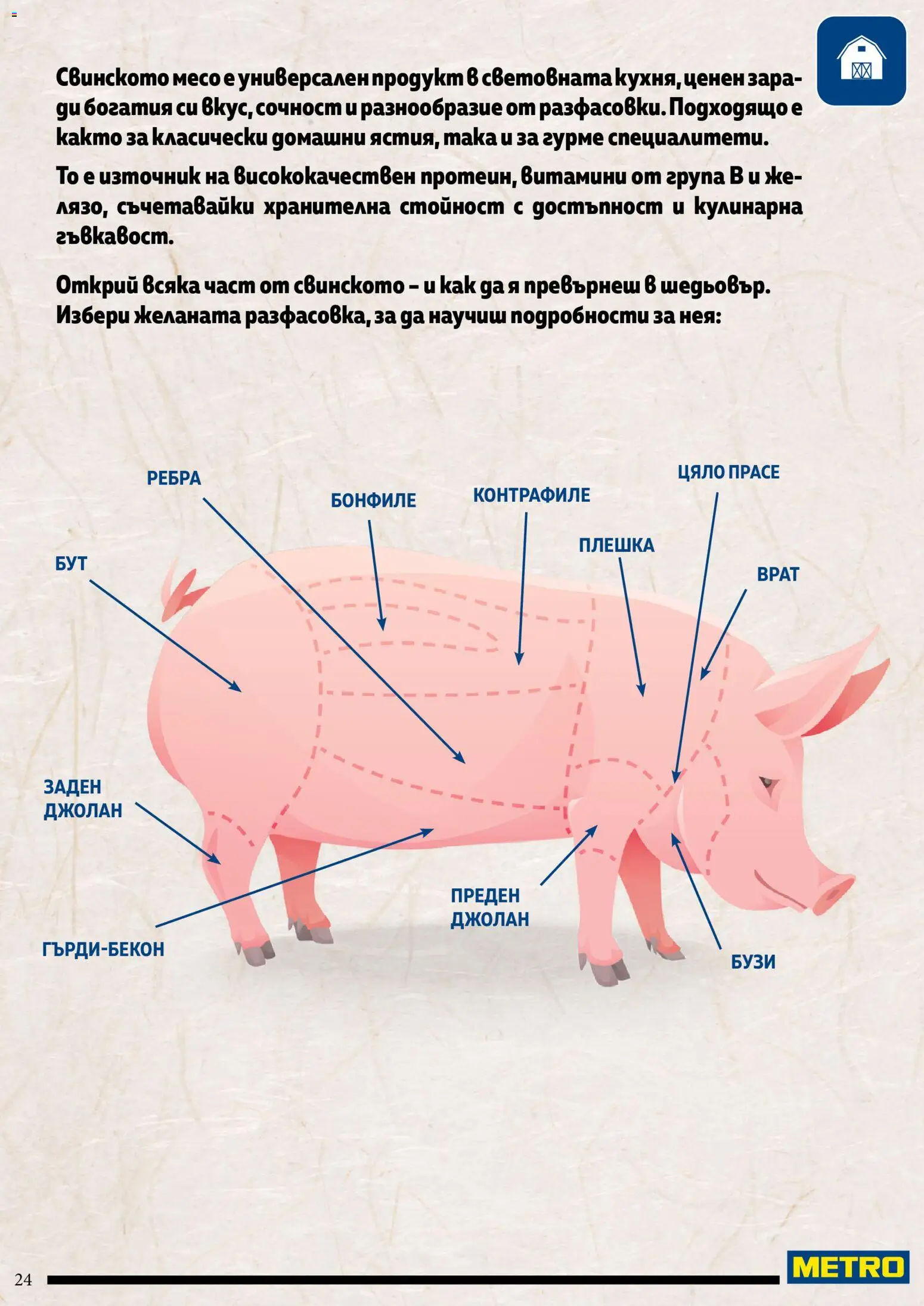 {H1} | Страница: 24 | Продукти: Витамини, Бонфиле