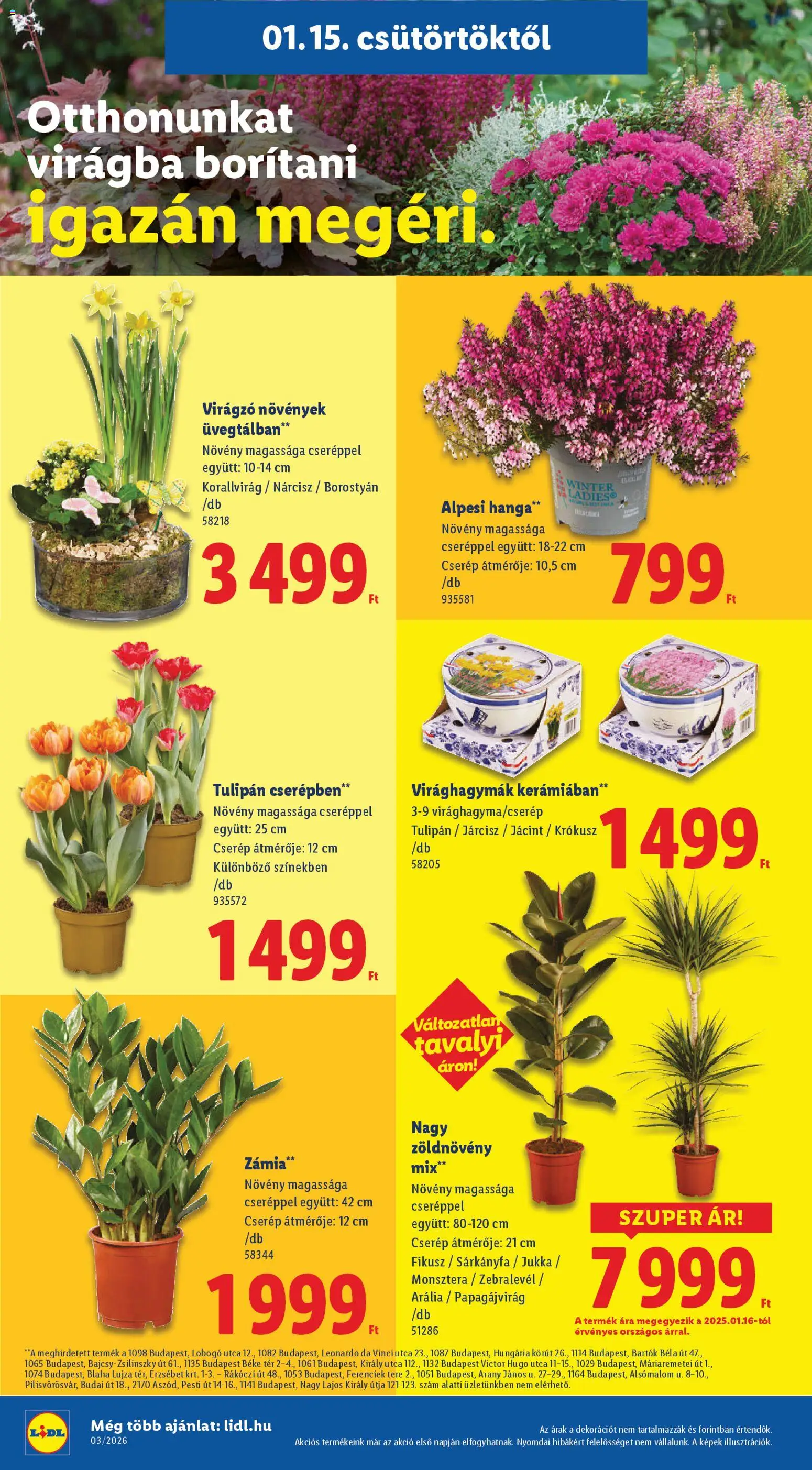 Lidl akciós ujság - amely érvényes a következő dátumtól: 15.01.2026 | Oldal: 16 | Termékek: Tulipán