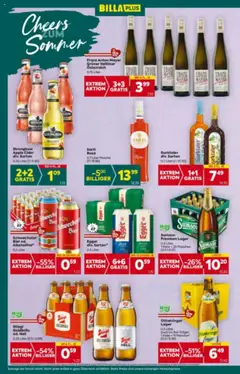 Billa Plus Flugblatt gültig ab 21.08.2025 | Seite: 14