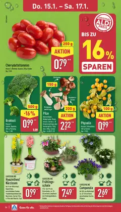 Aldi Prospekt 	 ab 12.01.2026 gültig | Seite: 28 | Produkte: Brokkoli