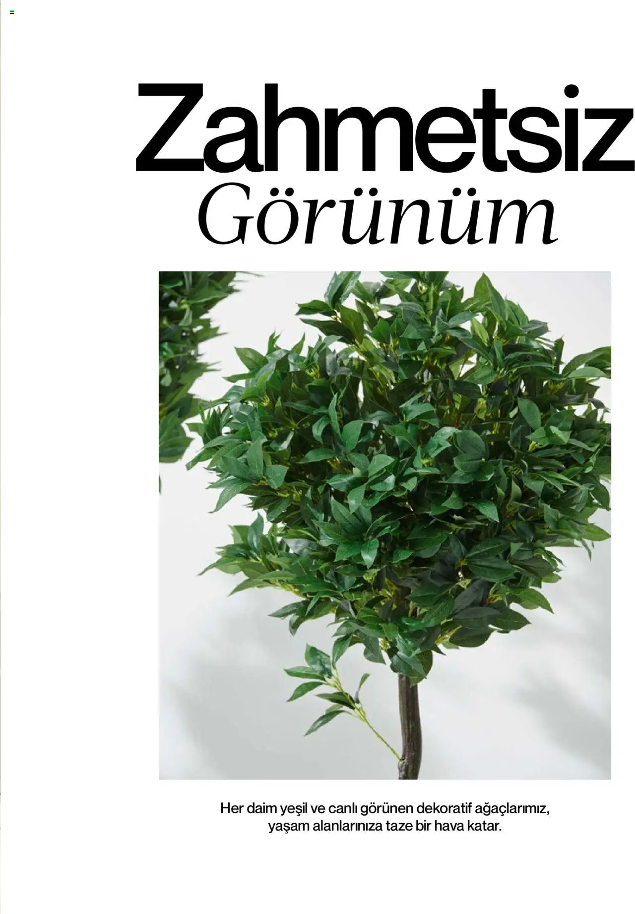 Mudo Katalog - BAHÇE 2025 - 04.06.2025 tarihinden itibaren geçerlidir | Sayfa: 161