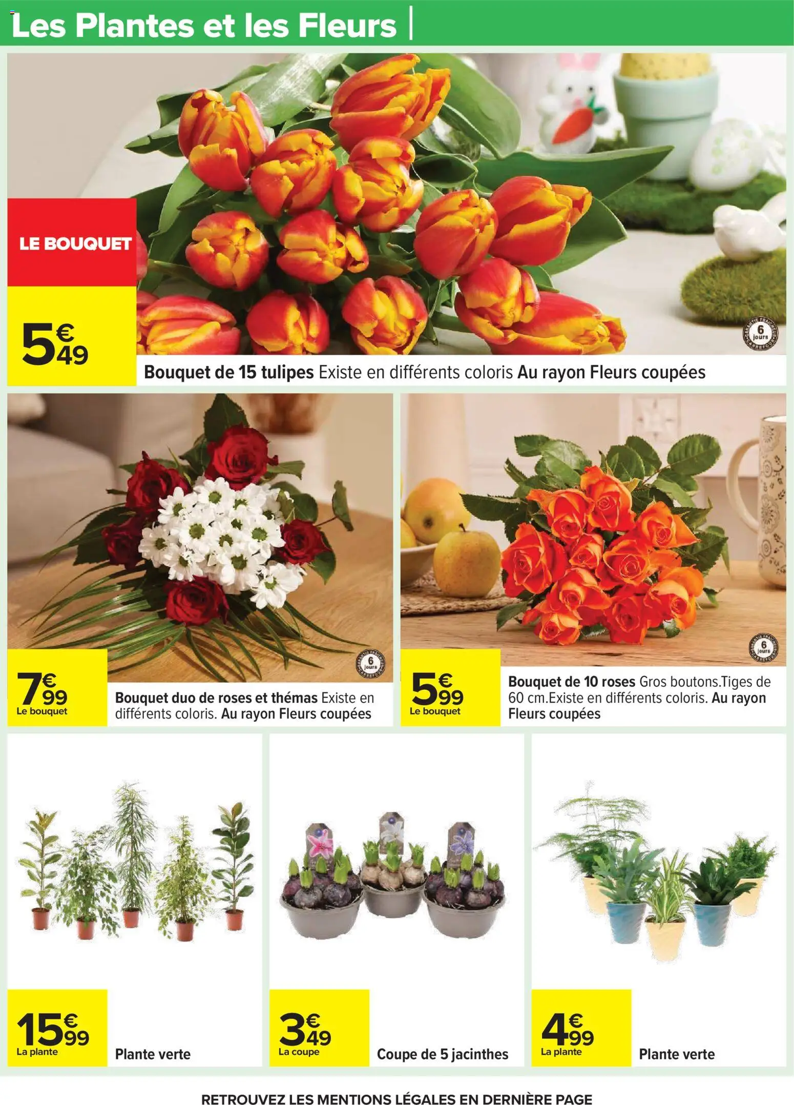 {H1} | Page: 30 | Produits: Plantes, Plante verte, Tulipes