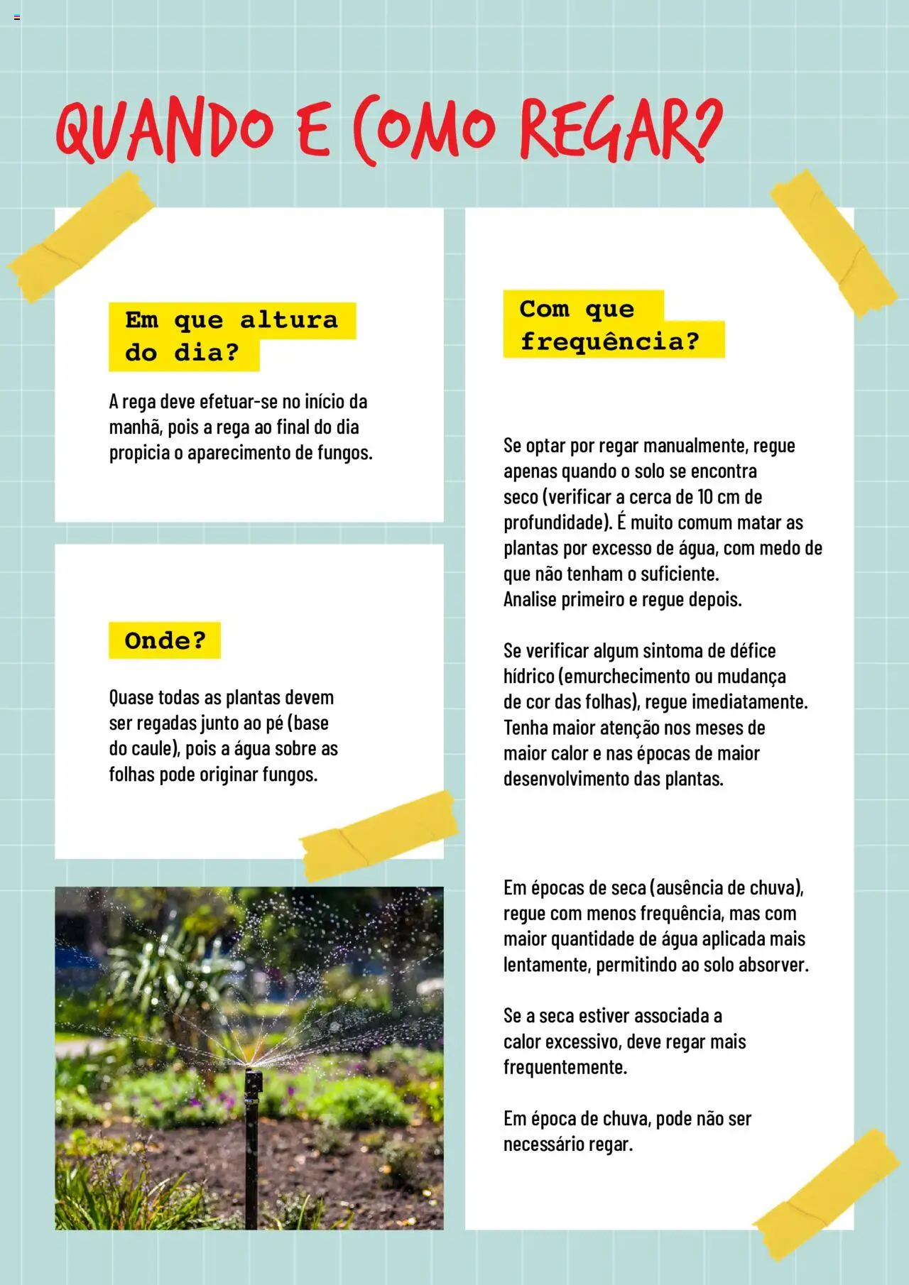 BricoMarché Rega │ válido de 17.01.2024 | Página: 3 | Produtos: Base