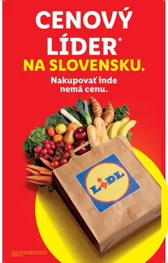 Lidl leták platný od 09.03.2026