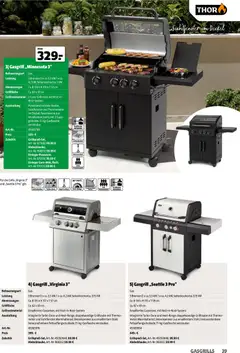 Hagebau Gartenjahr ab 13.03.2026 gültig | Seite: 39