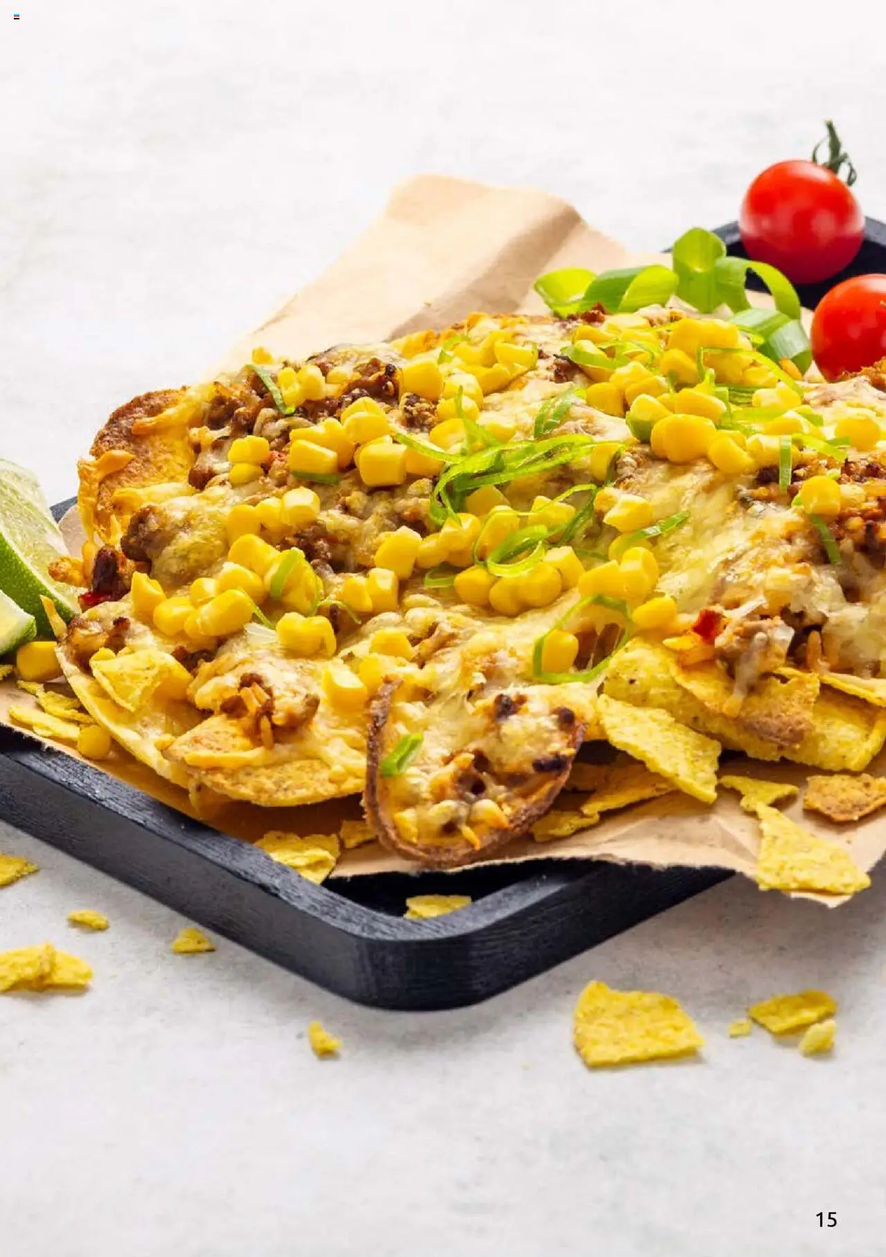 {H1} | Side: 15 | Produkter: Сушильные машины, Nachos