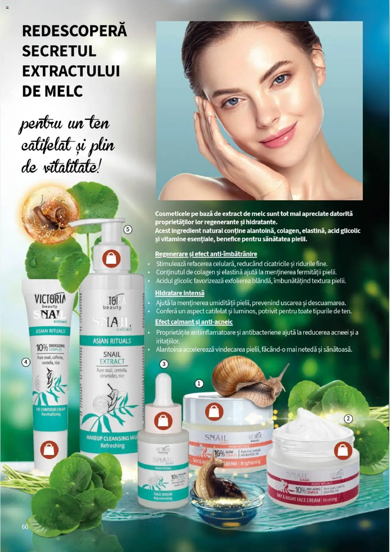 Catalog Lady’s – valabil de la 01.08.2025 | Pagină: 60 | Produse: Serum