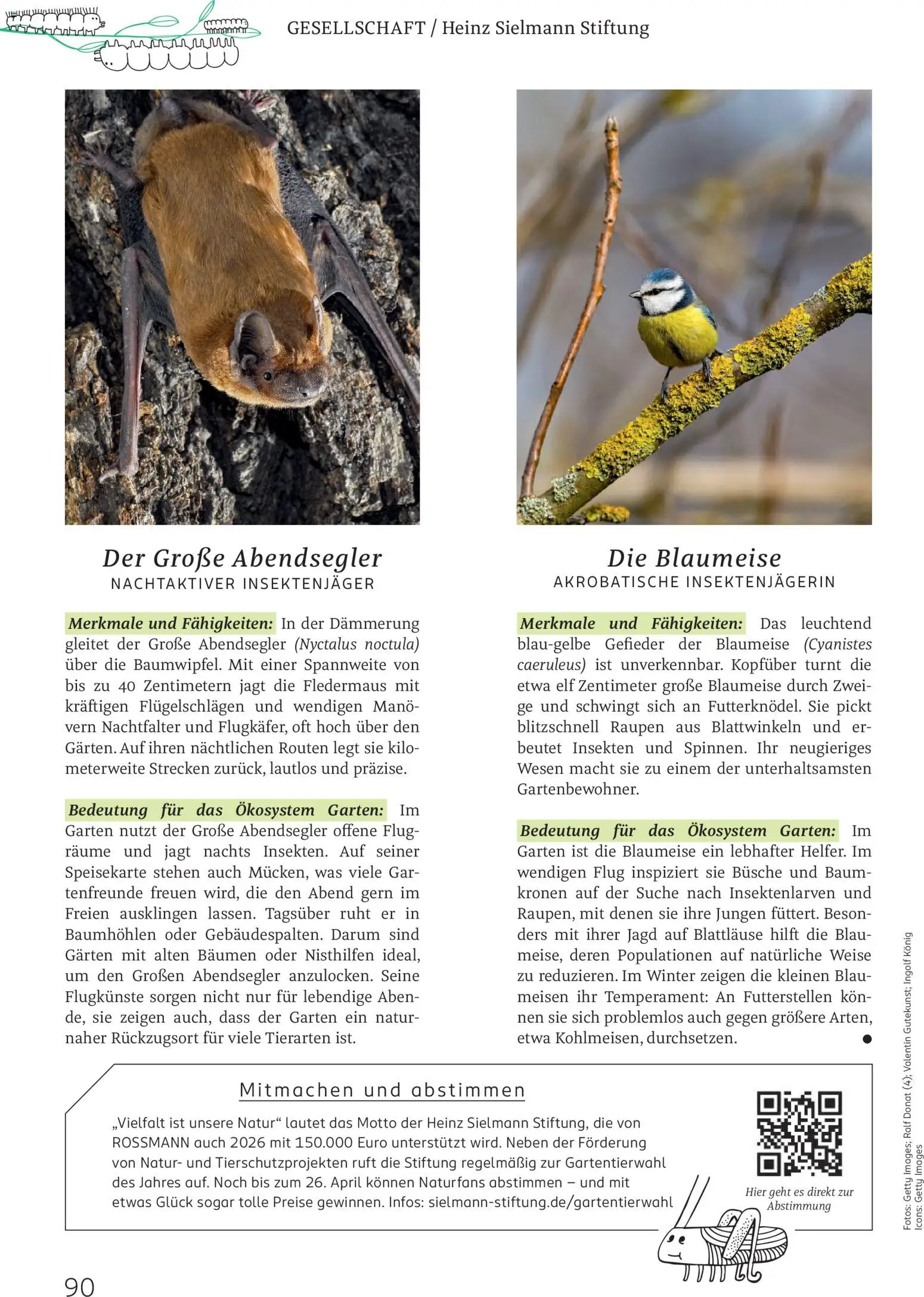 Rossmann Centaur – gültig ab 01.03.2026 | Seite: 90