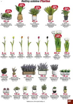 Bodzio Katalog od 01.04.2025 | Strona: 207 | Produkty: Paproć, Rosliny, Róż, Tulipany
