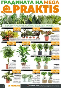 Преглед на Praktis - Предложения от PRAKTIS с валидност до 08.03.2026 - Офертите са валидни от 09.02.2026 | Страница: 40 | Продукти: Кашпа, Вода, Саксия
