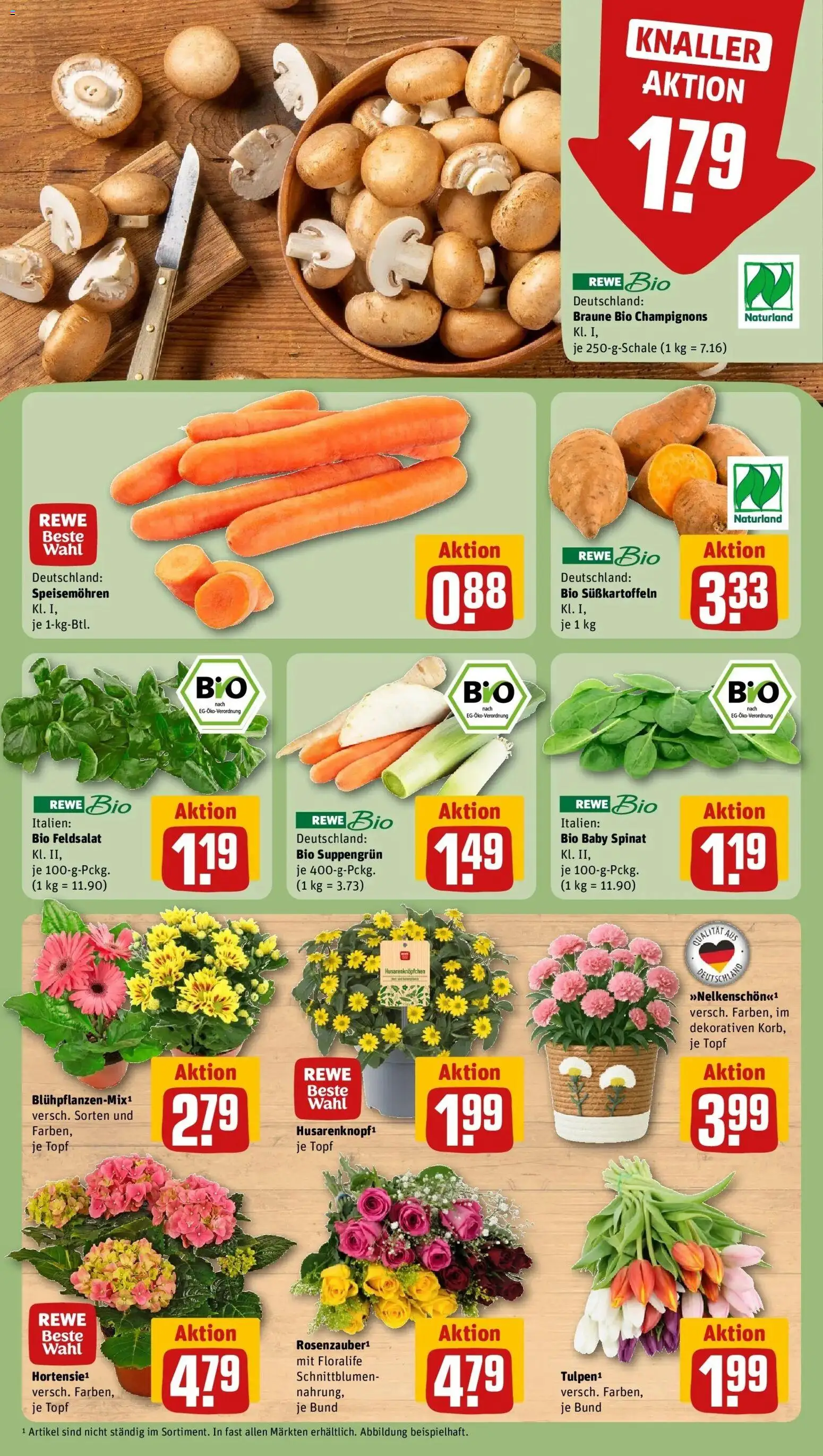 Rewe Prospekt Fridingen An Der Donau	 – gültig ab 05.04.2026 | Seite: 7 | Produkte: Champignons