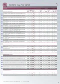 16.12.2025 tarihinden itibaren geçerli olan Arçelik kataloğu önizlemesi | Sayfa: 28 | Ürünler: Ocak, Izgara