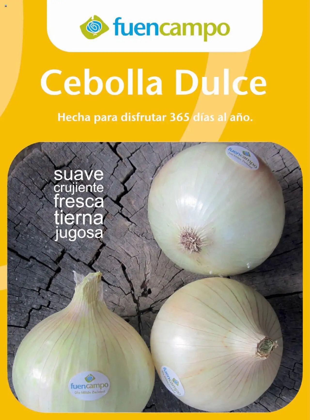 Costco catálogo │ válido desde el 29.09.2025 | Página: 25 | Productos: Παγωμένο τσάι