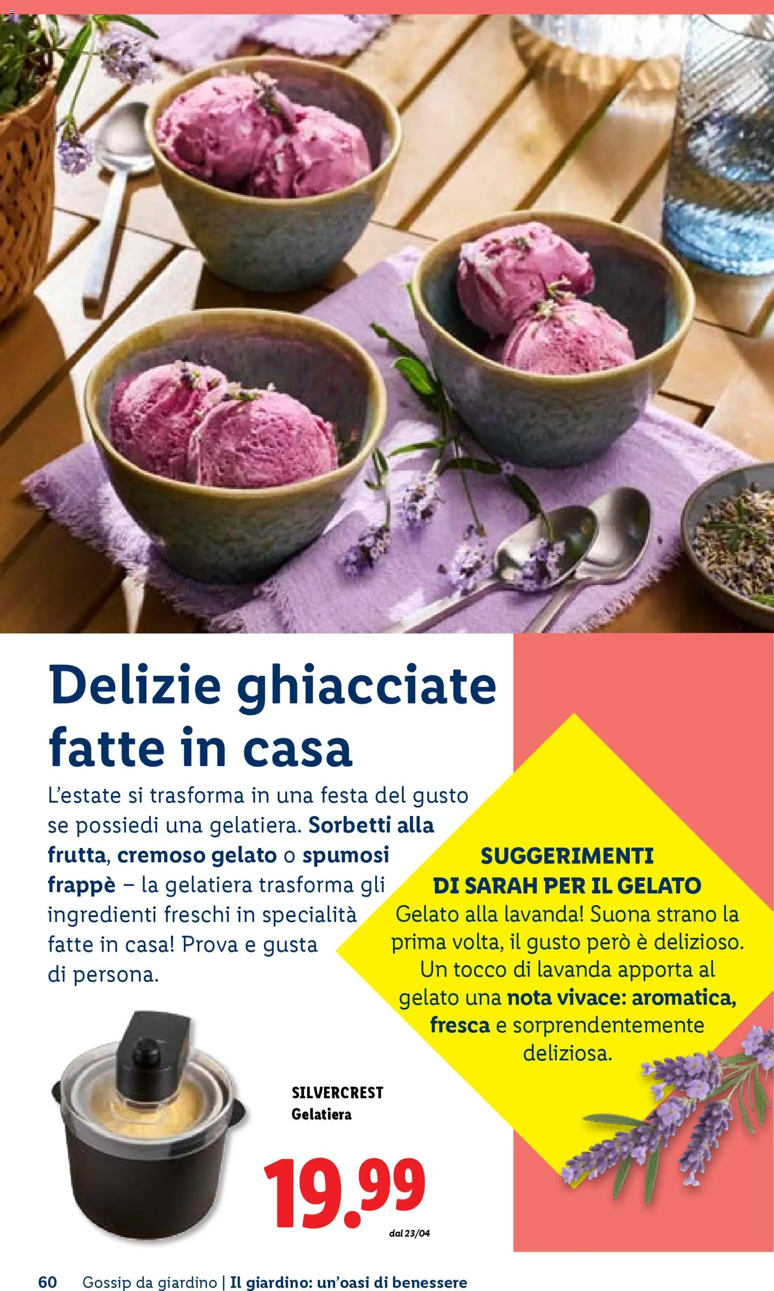 Volantino Lidl del 23.04.2026 | Pagina: 60 | Prodotti: Gelato, Lavanda
