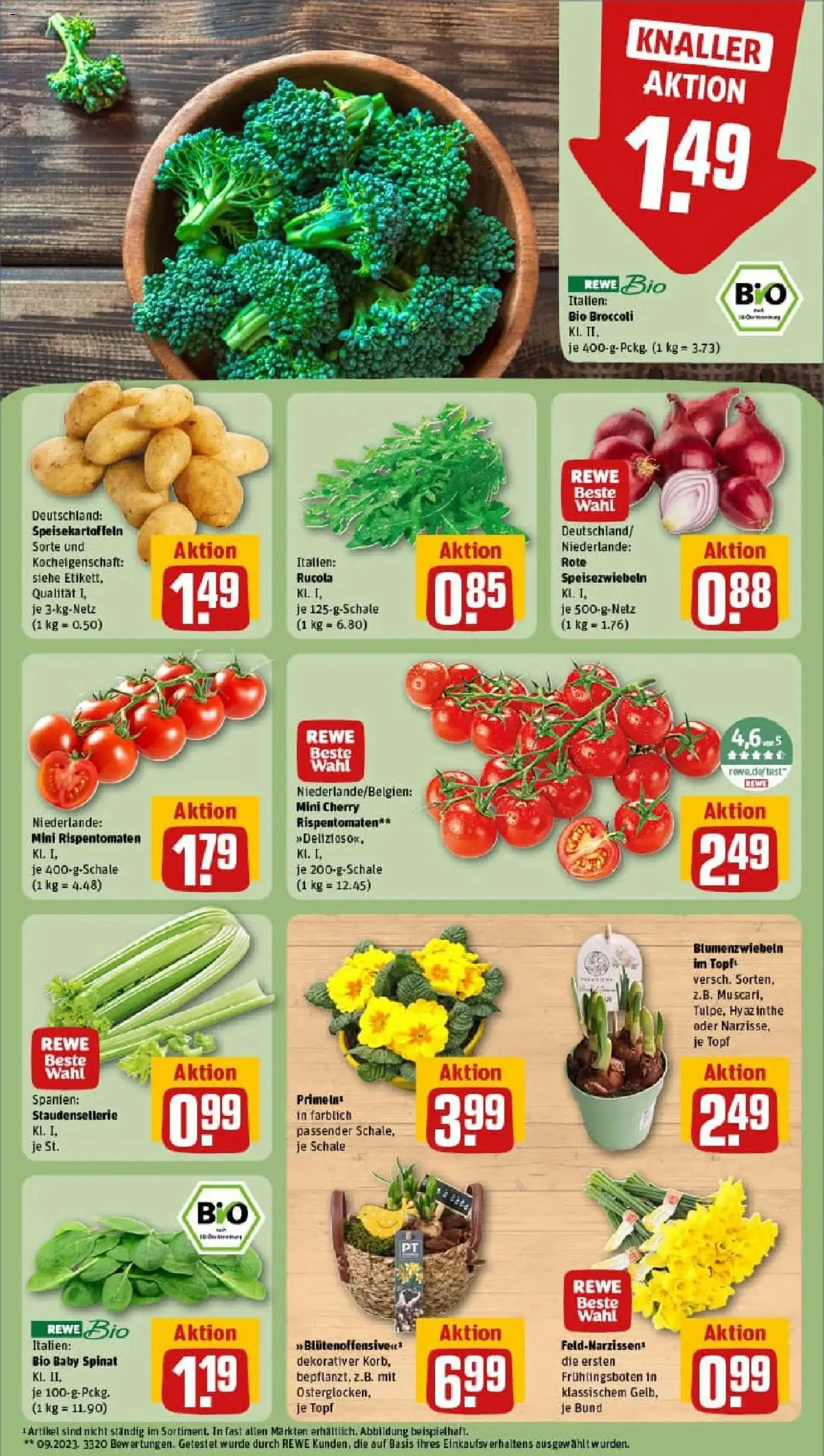 Rewe prospekt Reichenbach Im Vogtland	 – gültig ab 26.01.2026 | Seite: 7 | Produkte: Rucola