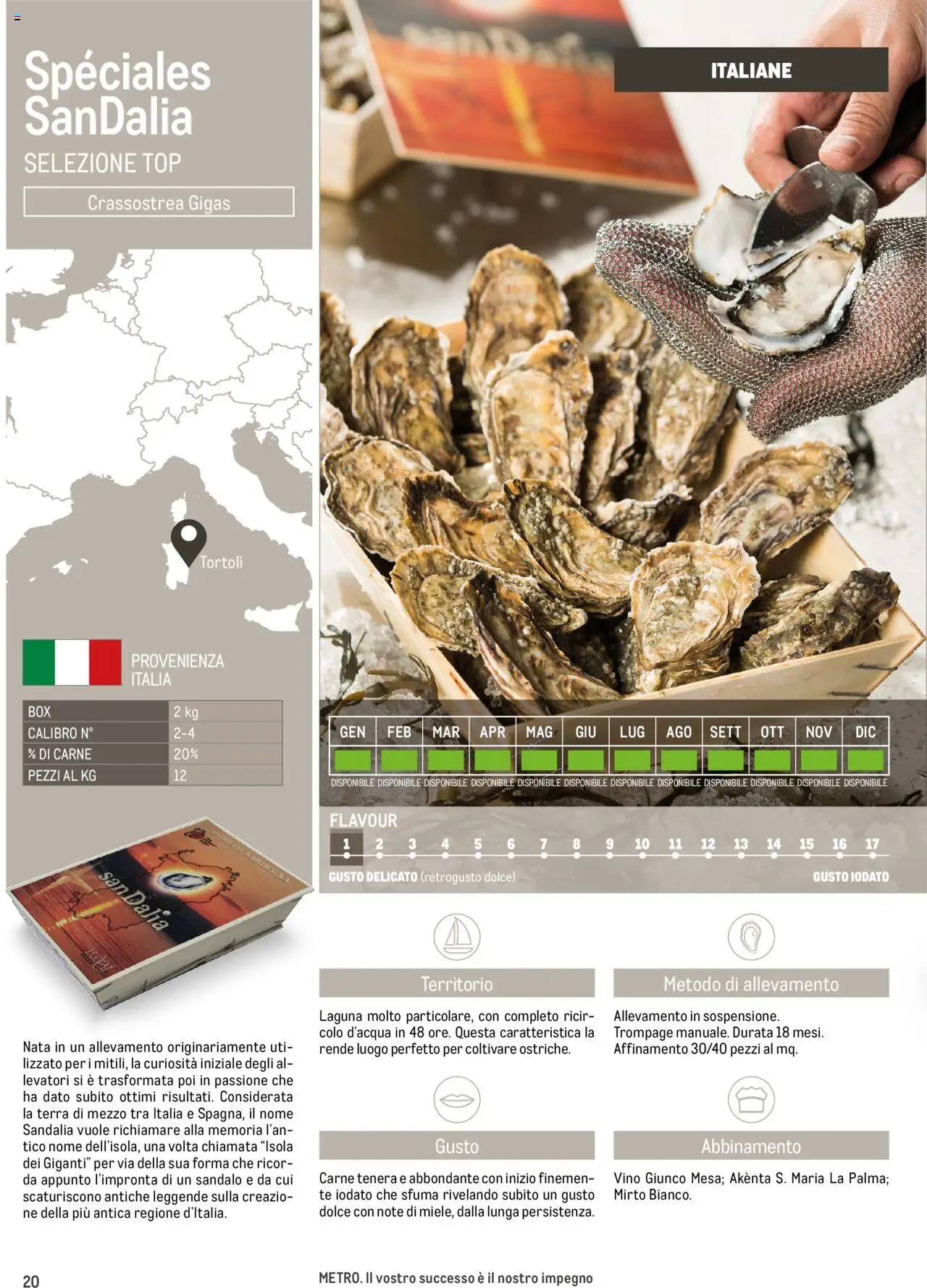 Volantino Metro del 17.06.2025 | Pagina: 20 | Prodotti: Tè, Top, Vino, Terra