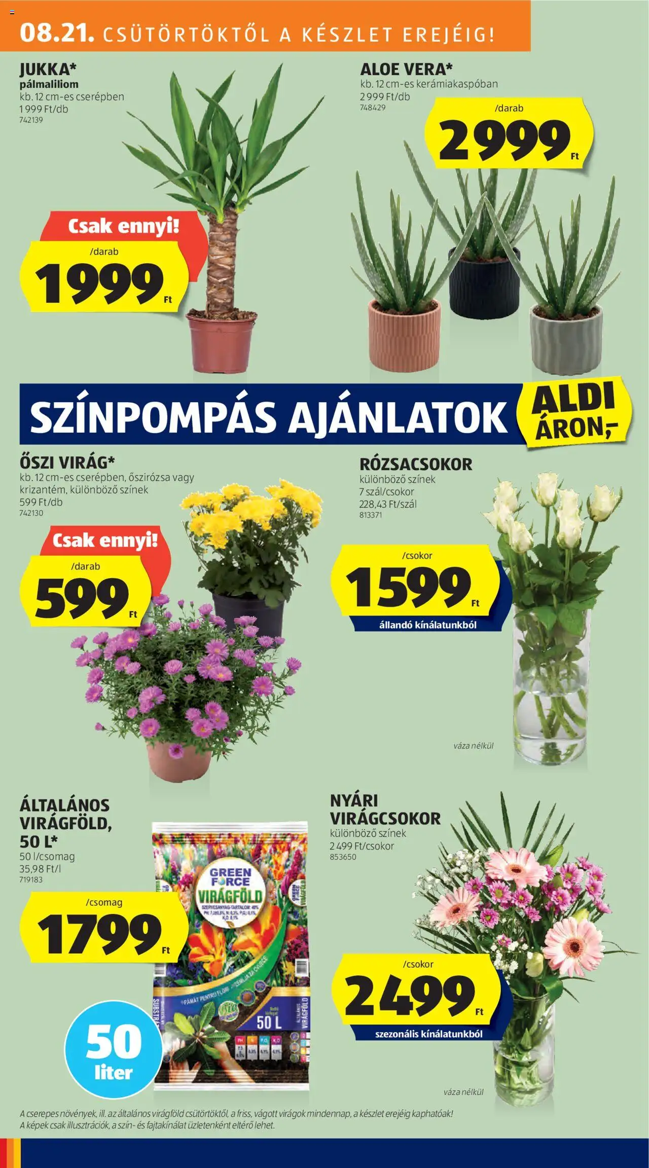 Aldi akciós ujság - amely érvényes a következő dátumtól: 21.08.2025 | Oldal: 10 | Termékek: Virágok, Váza, Virágföld