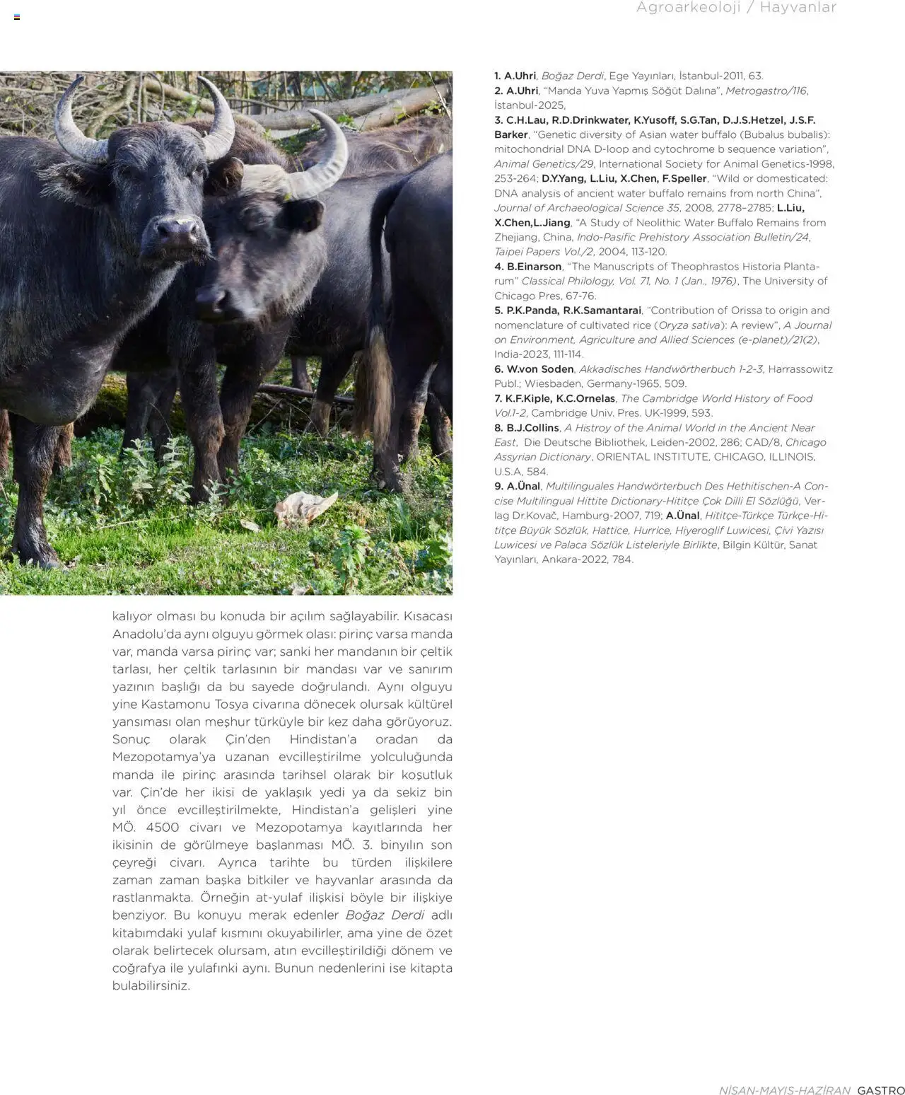 Metro Katalog Gastro Nisan - Mayis - Haziran 2025 - 01.04.2025 tarihinden itibaren geçerlidir | Sayfa: 75 | Ürünler: Pirinç, Yulaf