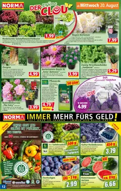 Norma Flugblatt gültig ab 18.08.2025 | Seite: 12