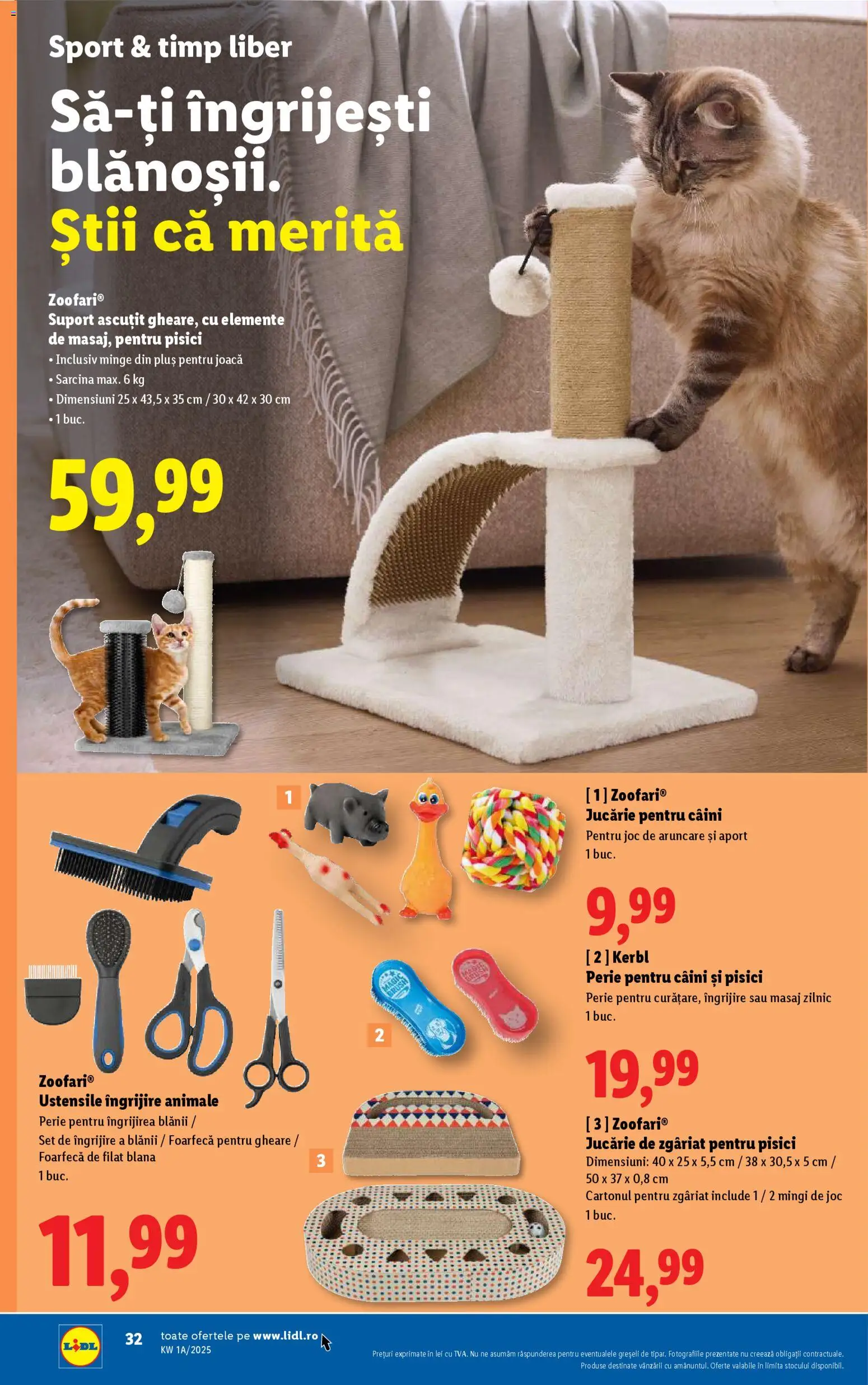 Noul catalog Lidl – valabil de la 27.12.2025 | Pagină: 32 | Produse: Joc, Perie