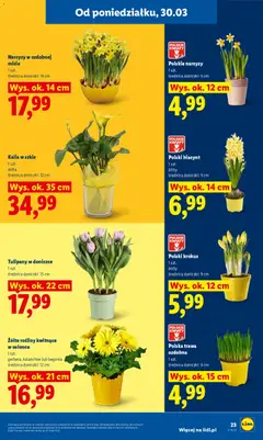 Pogląd oferty "Lidl gazetka" - ważna od 30.03.2026 | Strona: 23
