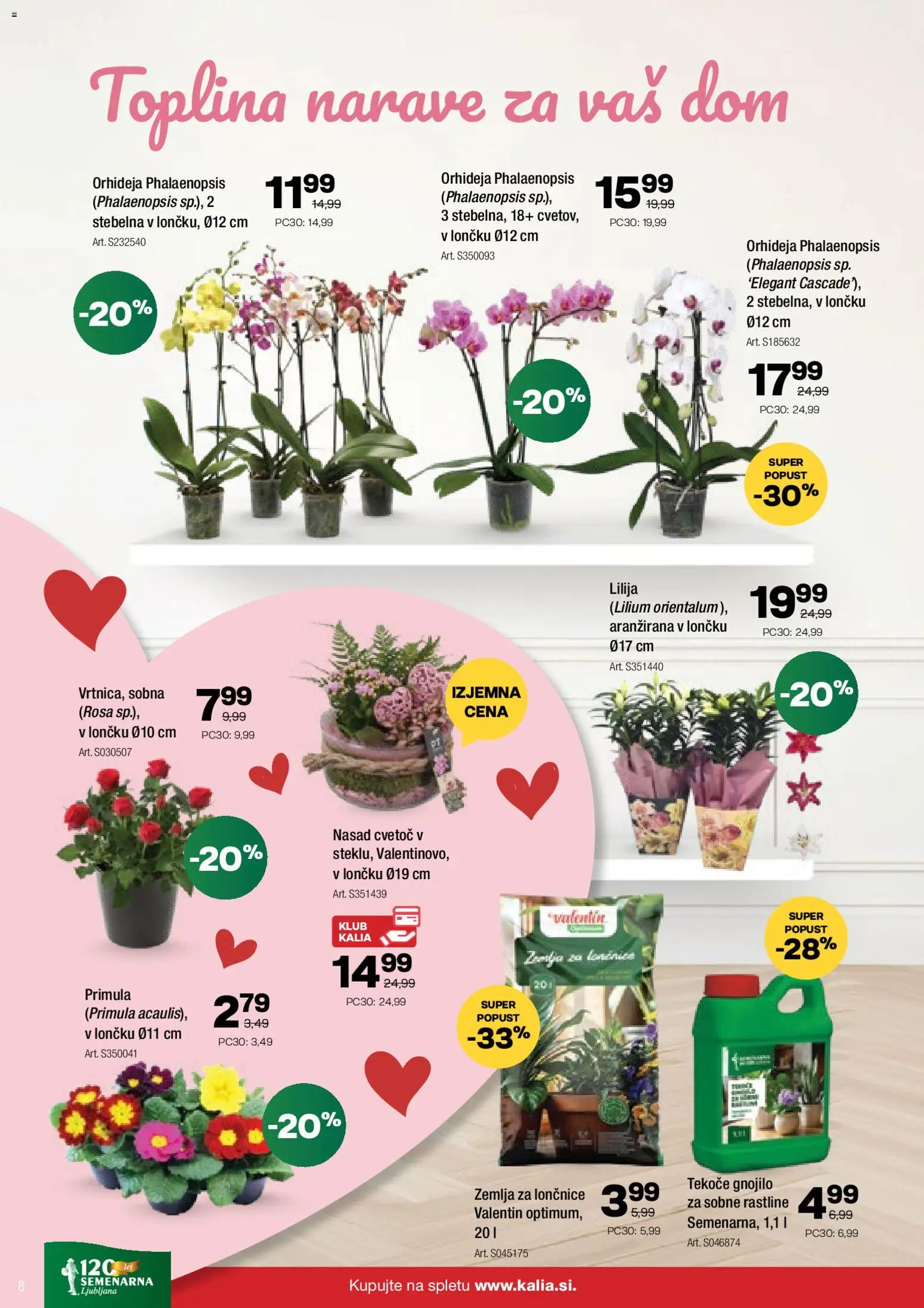 Novi Kalia katalog ponudbe – veljaven od 09.02.2026 | Stran: 8 | Izdelki: Žemlja, Lončnice