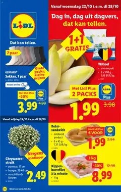 Lidl Folder week 43 - Voorbeeld van een folder van Lidl, geldig van 22.10.2025