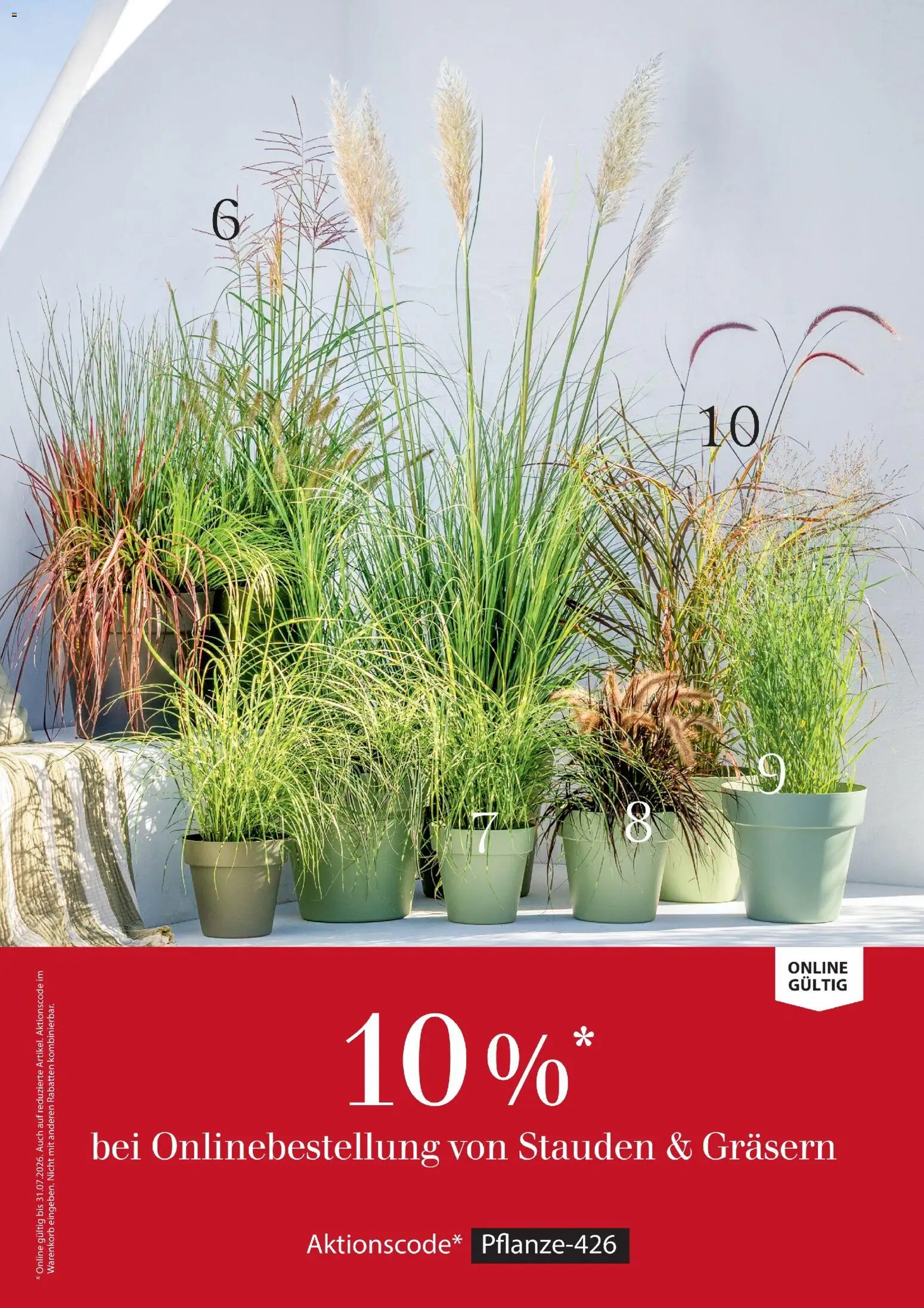 Dehner Prospekt 	 – gültig ab 17.04.2026 | Seite: 35