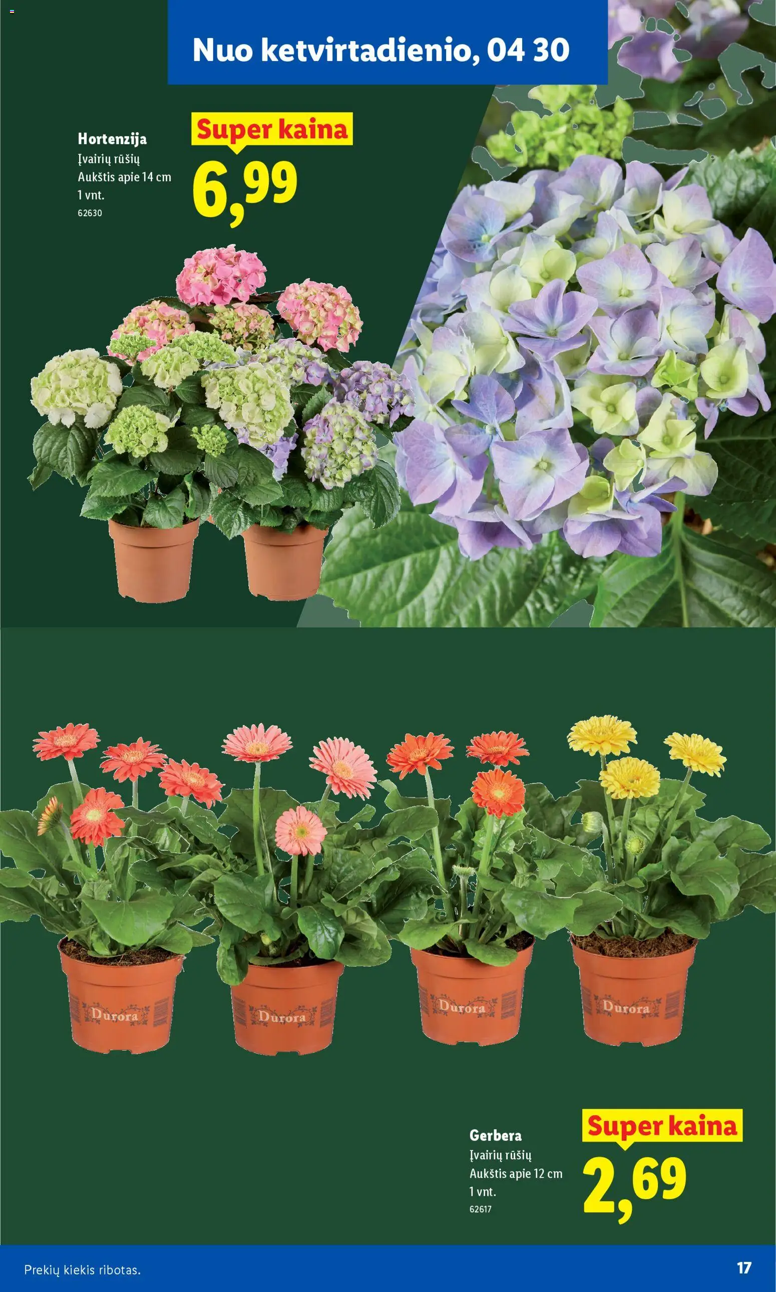 LIDL akcijos nuo 20.02.2026 | Puslapis: 17