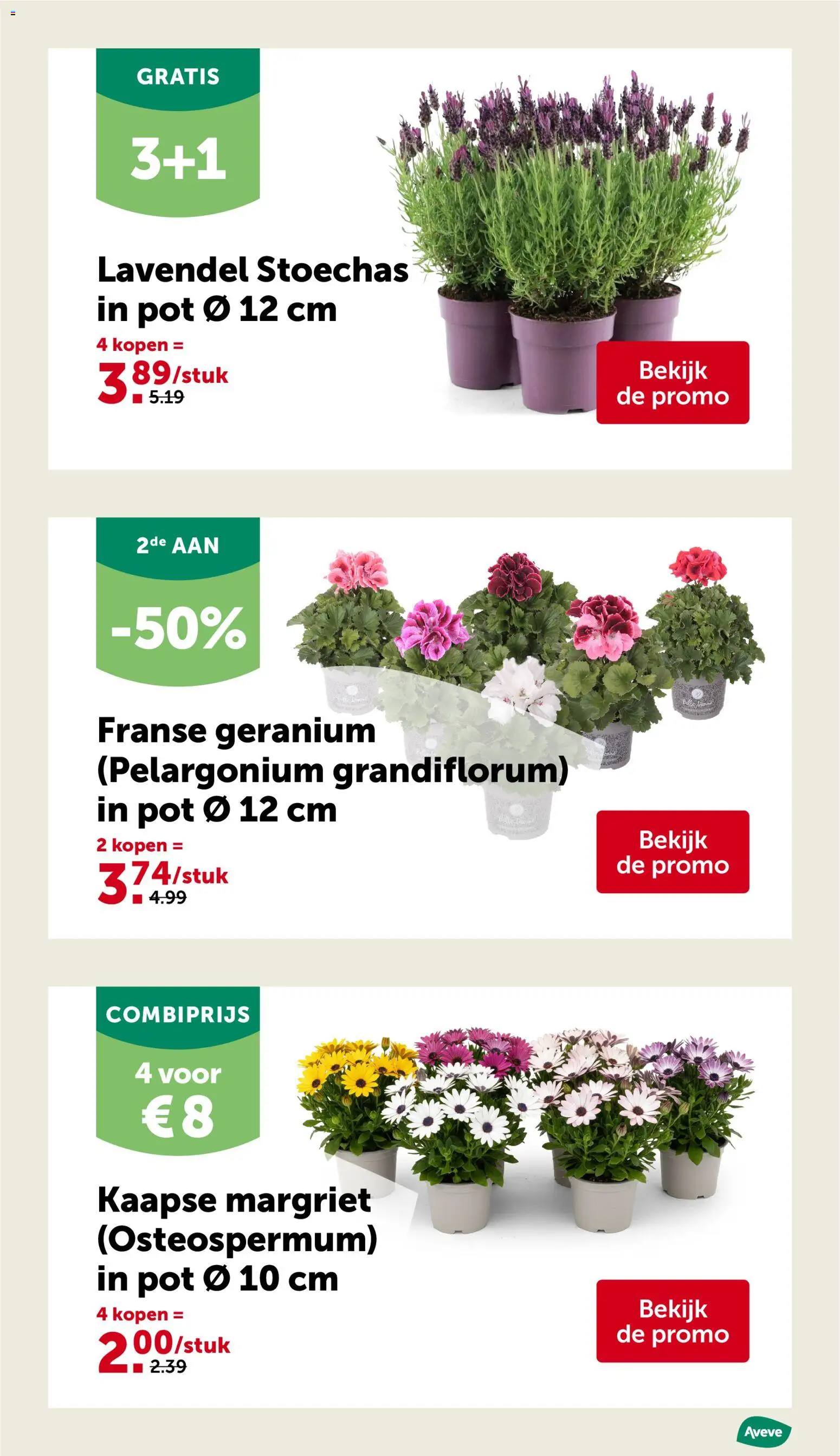 {H1} | Pagina: 10 | Producten: Pot