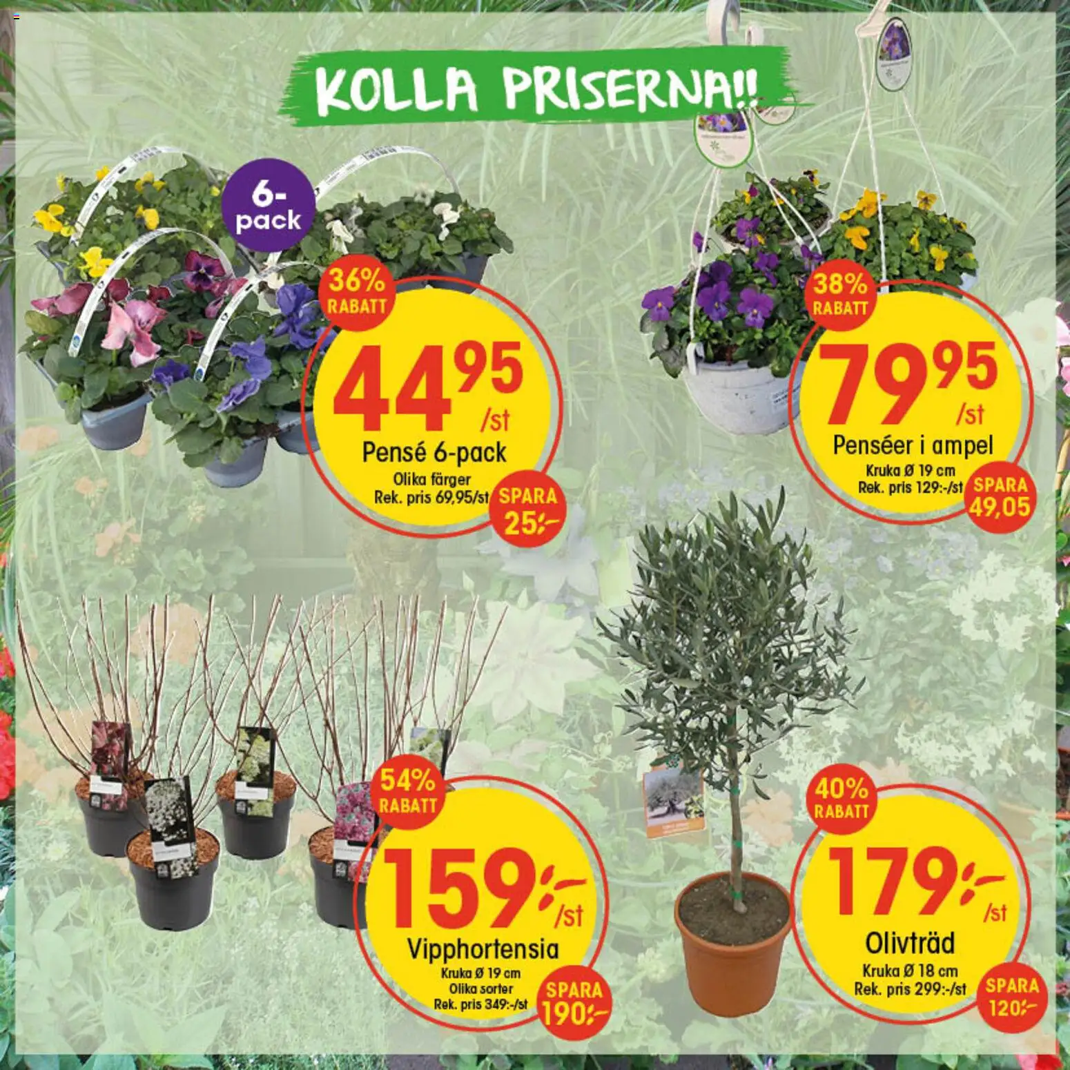 EKO reklamblad aktuell från 23.03.2026 | Sida: 3 | Produkter: Kruka