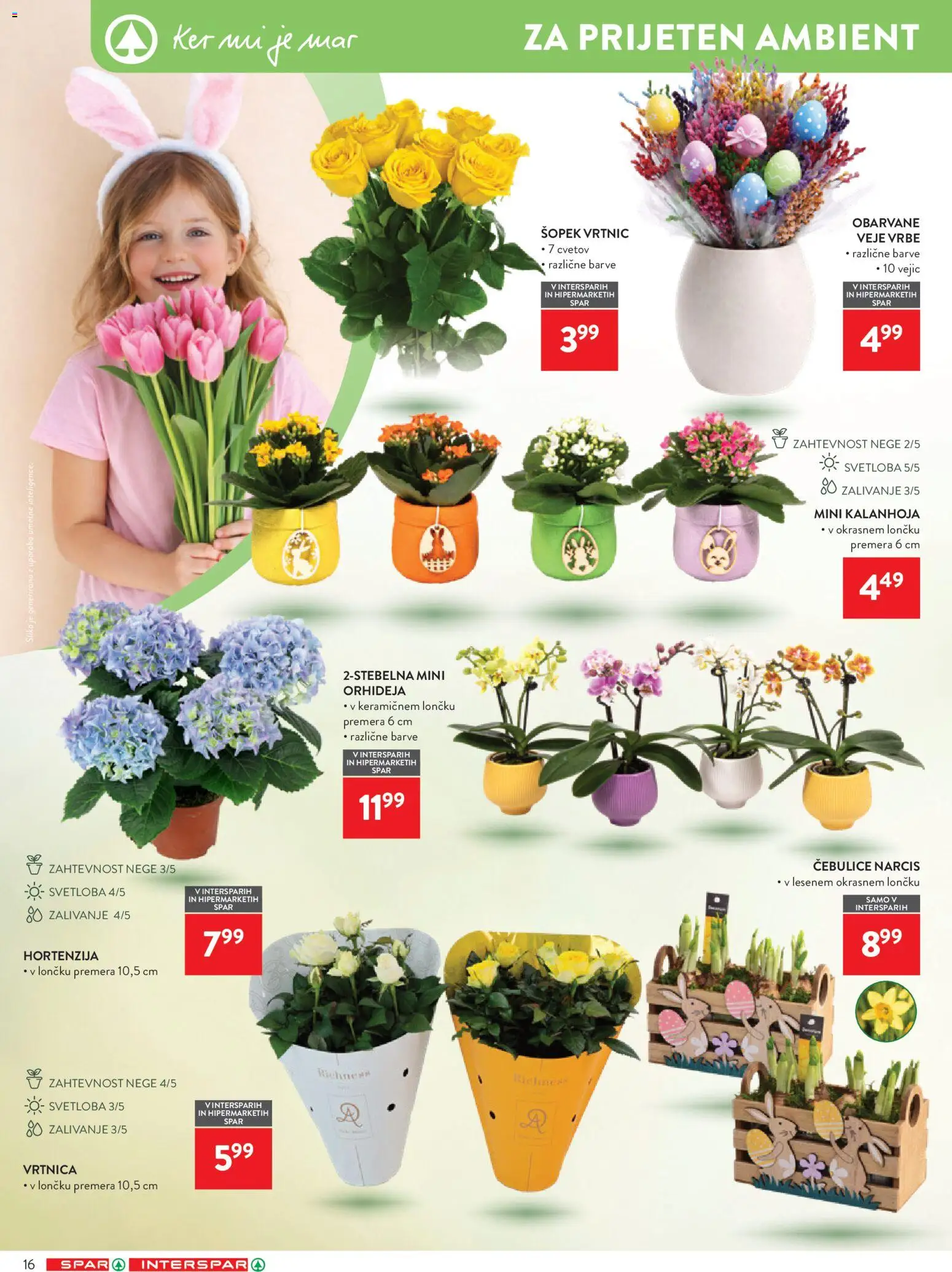Novi Spar katalog ponudbe – veljaven od 25.03.2026 | Stran: 18 | Izdelki: Šopek