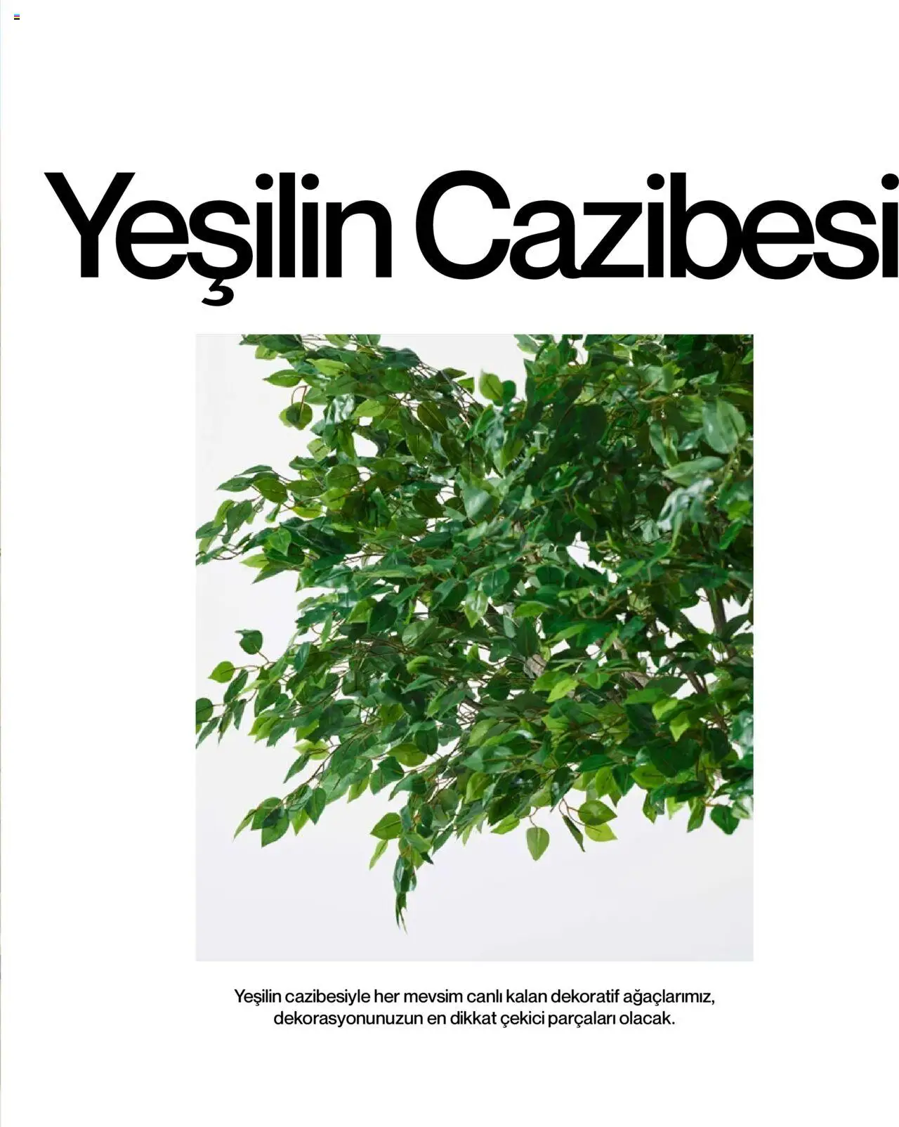 Mudo Katalog - BAHÇE 2025 - 04.06.2025 tarihinden itibaren geçerlidir | Sayfa: 153